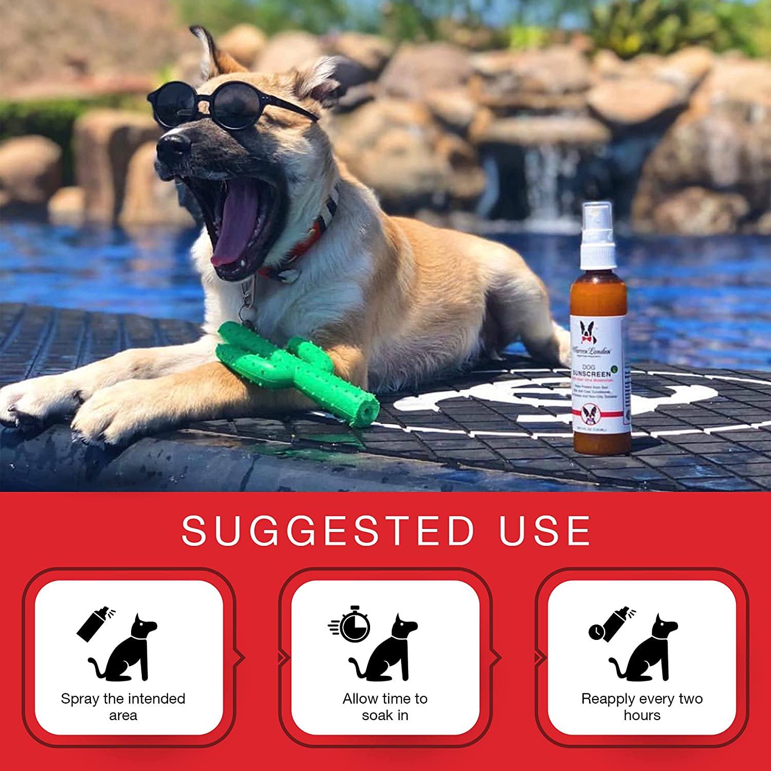 Dog Sunscreen With Aloe Vera Moisturizer | HT Animal Supply