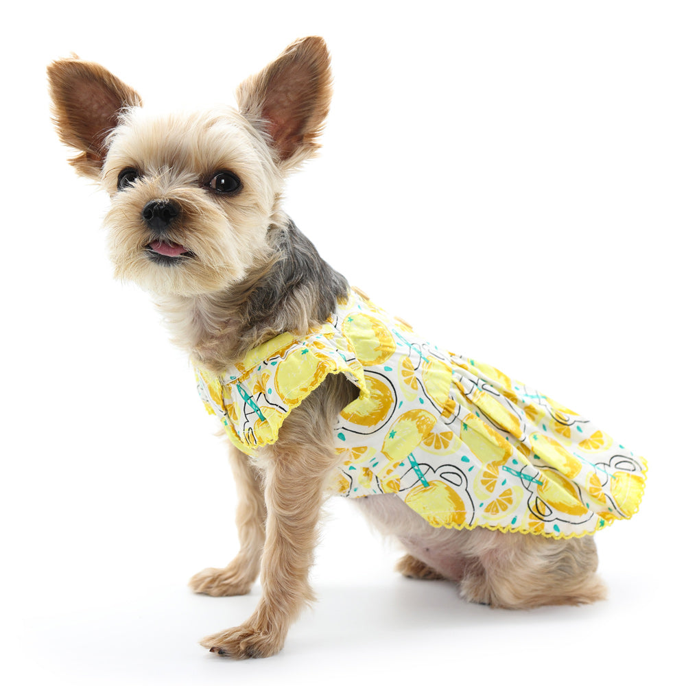 DOGO Sweet Lemonade Dog Dress