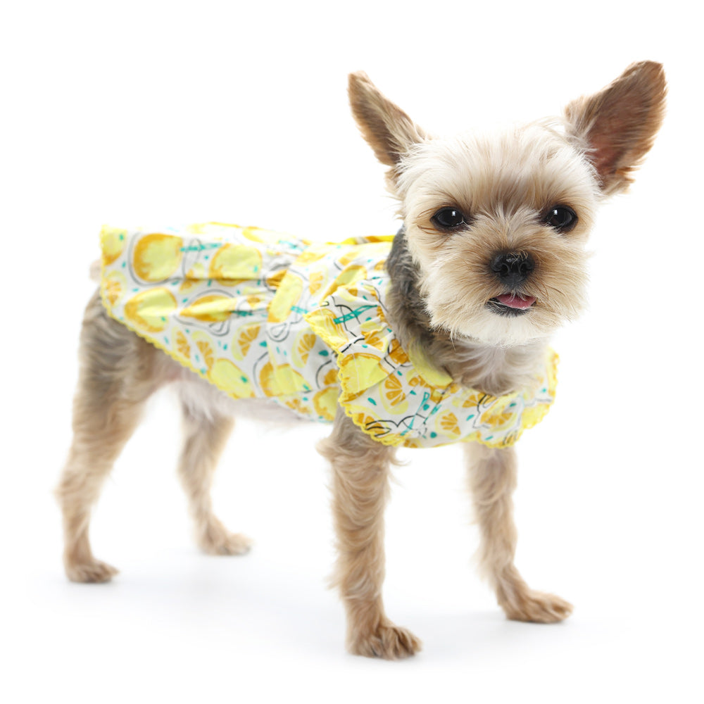 DOGO Sweet Lemonade Dog Dress
