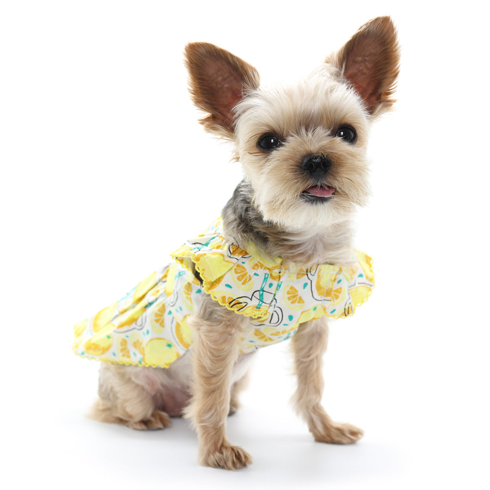 DOGO Sweet Lemonade Dog Dress