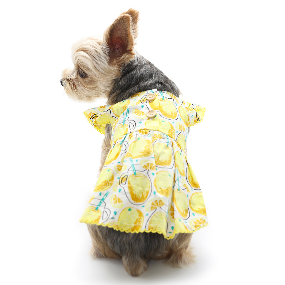 DOGO Sweet Lemonade Dog Dress