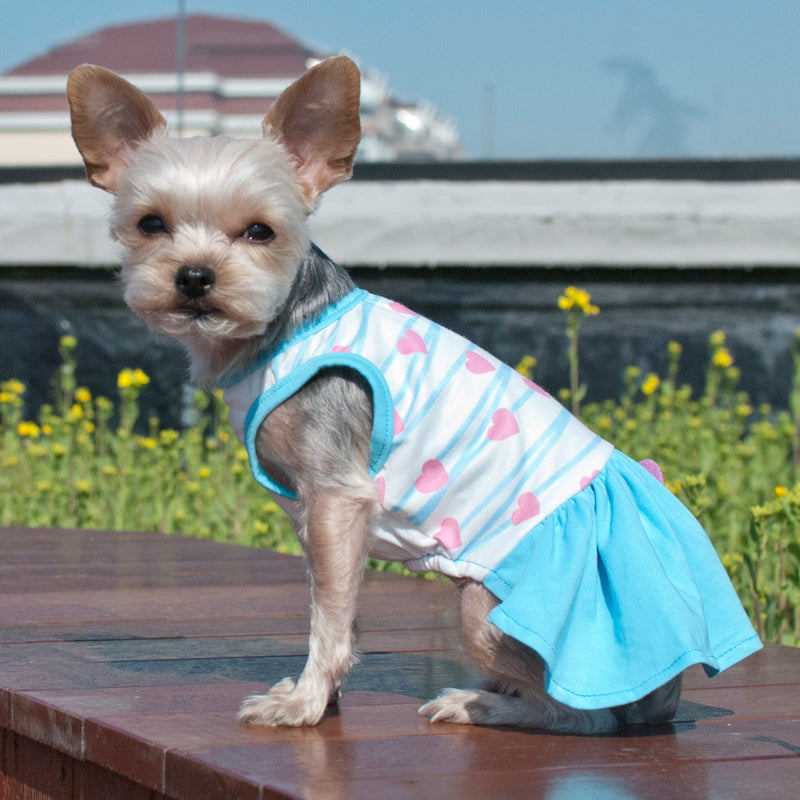 DOGO Sweet Heart Dog Dress
