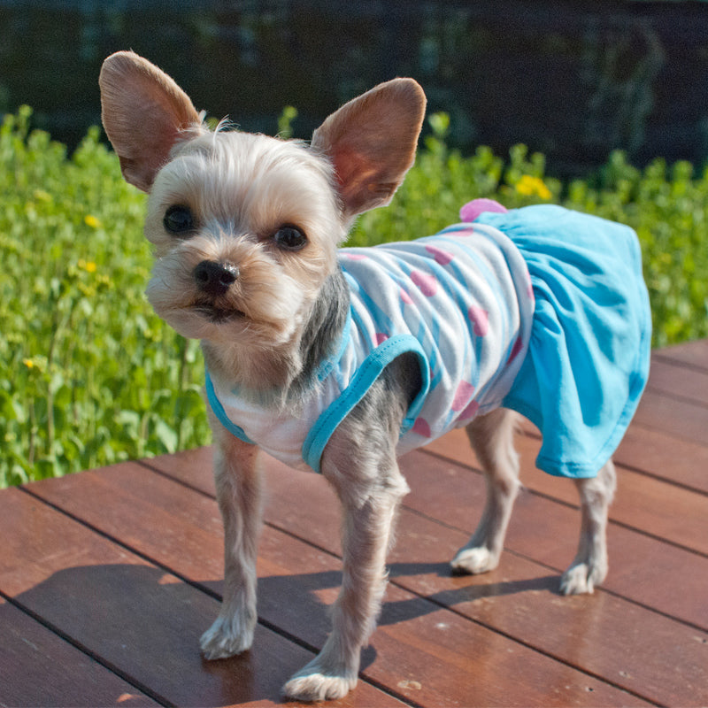 DOGO Sweet Heart Dog Dress