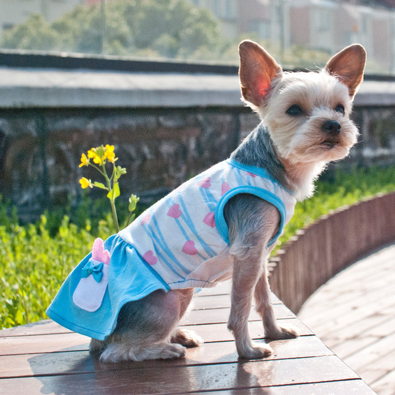 DOGO Sweet Heart Dog Dress