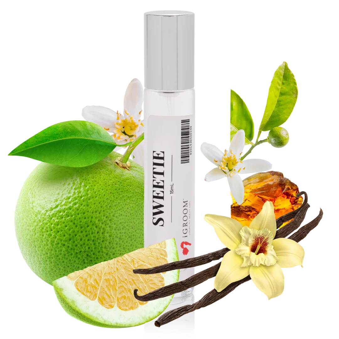 Sweetie Perfume 15ml by iGroom