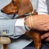 Customizable silver and leather bracelet with blue details