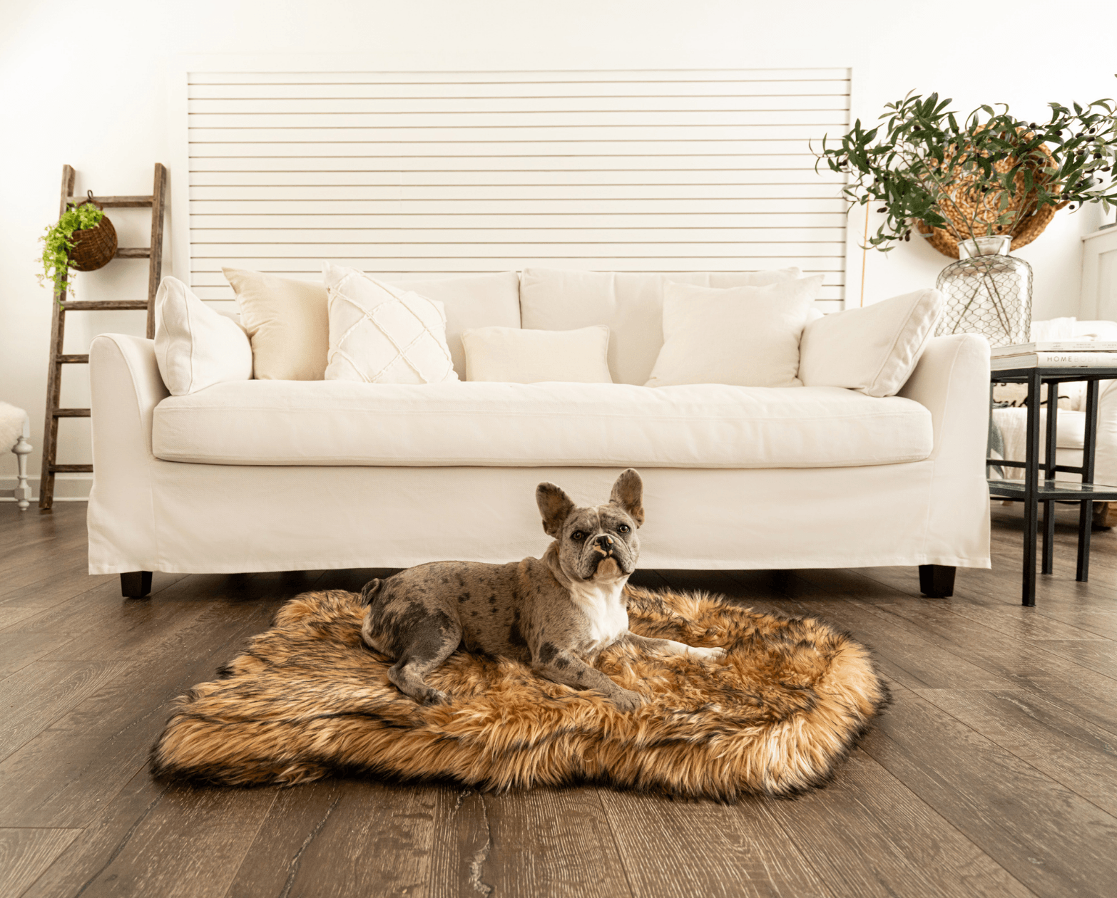 Puprug Faux Fur Orthopedic Dog Bed Curve Sable Tan