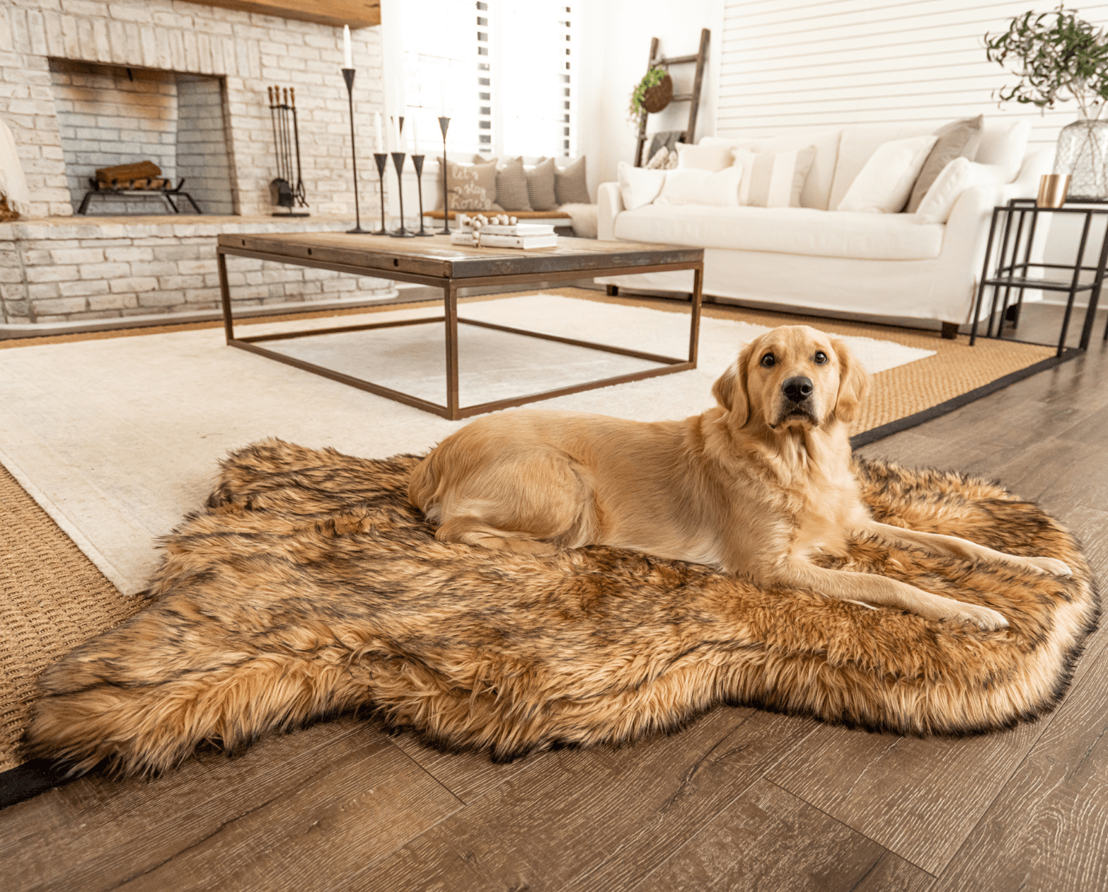 Puprug Faux Fur Orthopedic Dog Bed Curve Sable Tan