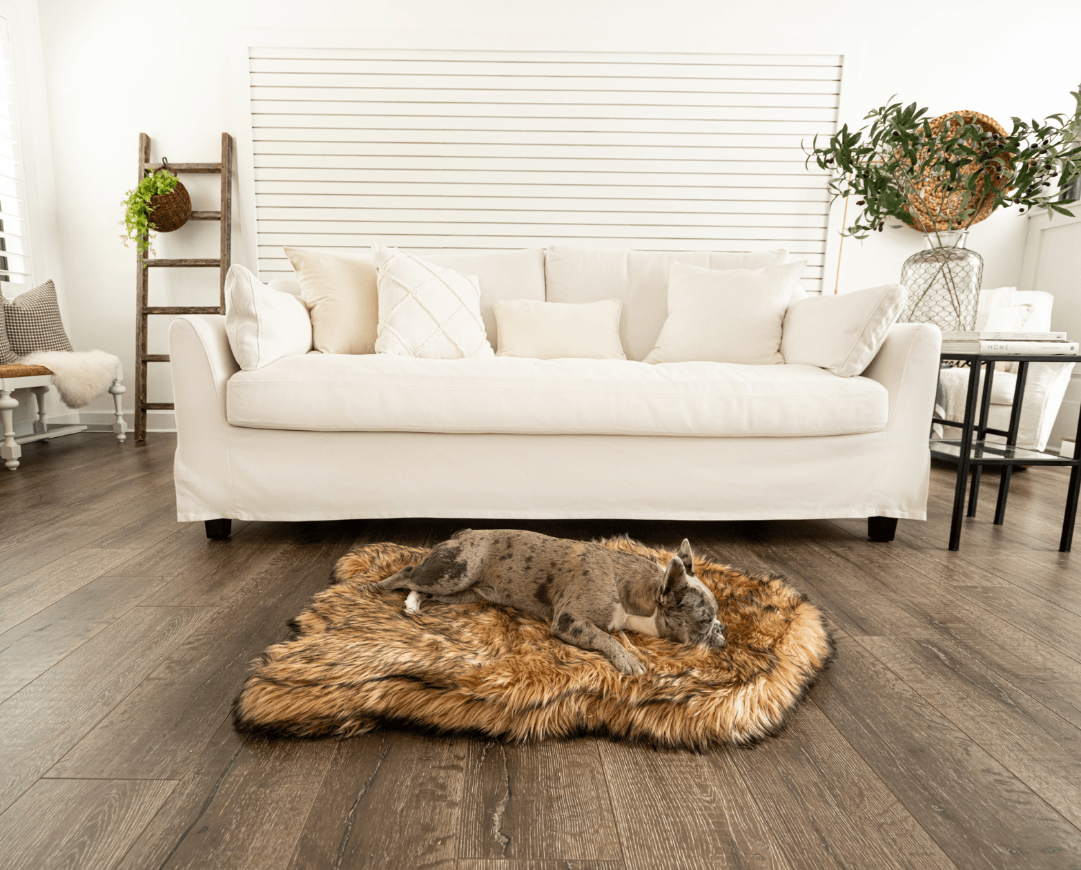 Puprug Faux Fur Orthopedic Dog Bed Curve Sable Tan