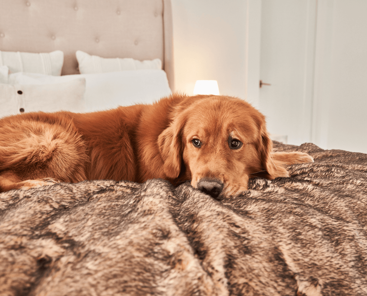 PupProtector Short Fur Waterproof Throw Blanket Sable Tan