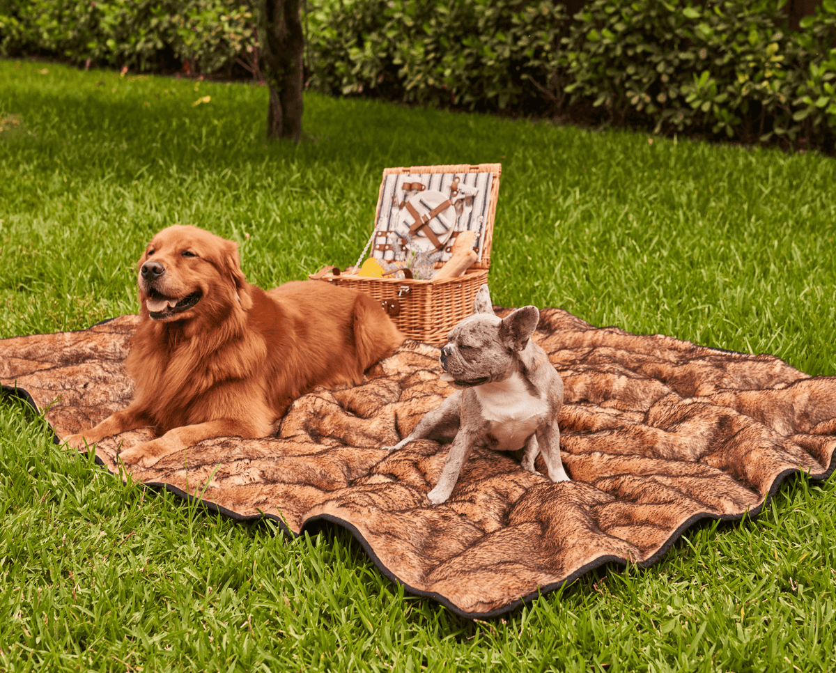 PupProtector Short Fur Waterproof Throw Blanket Sable Tan