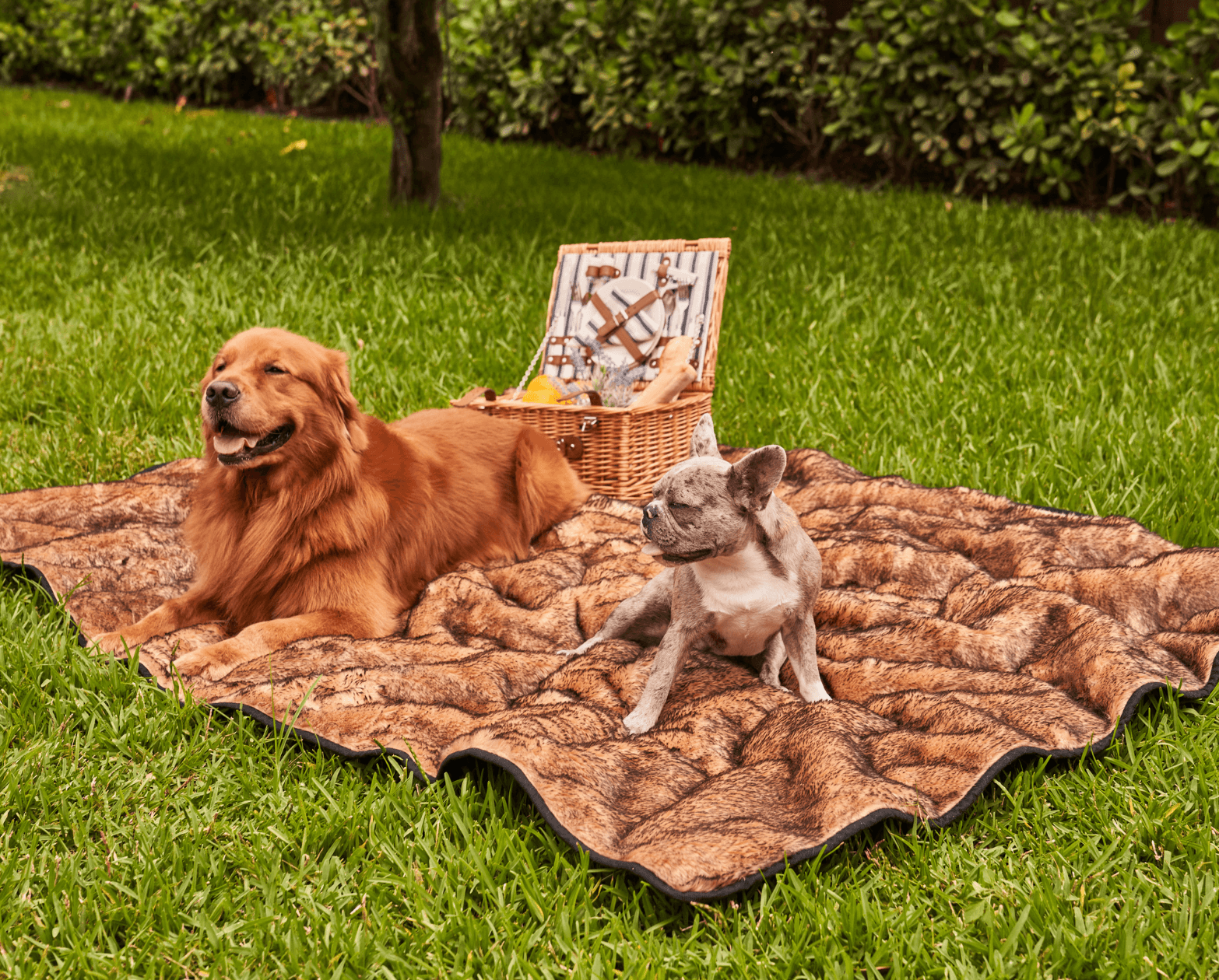 PupProtector Short Fur Waterproof Throw Blanket Sable Tan