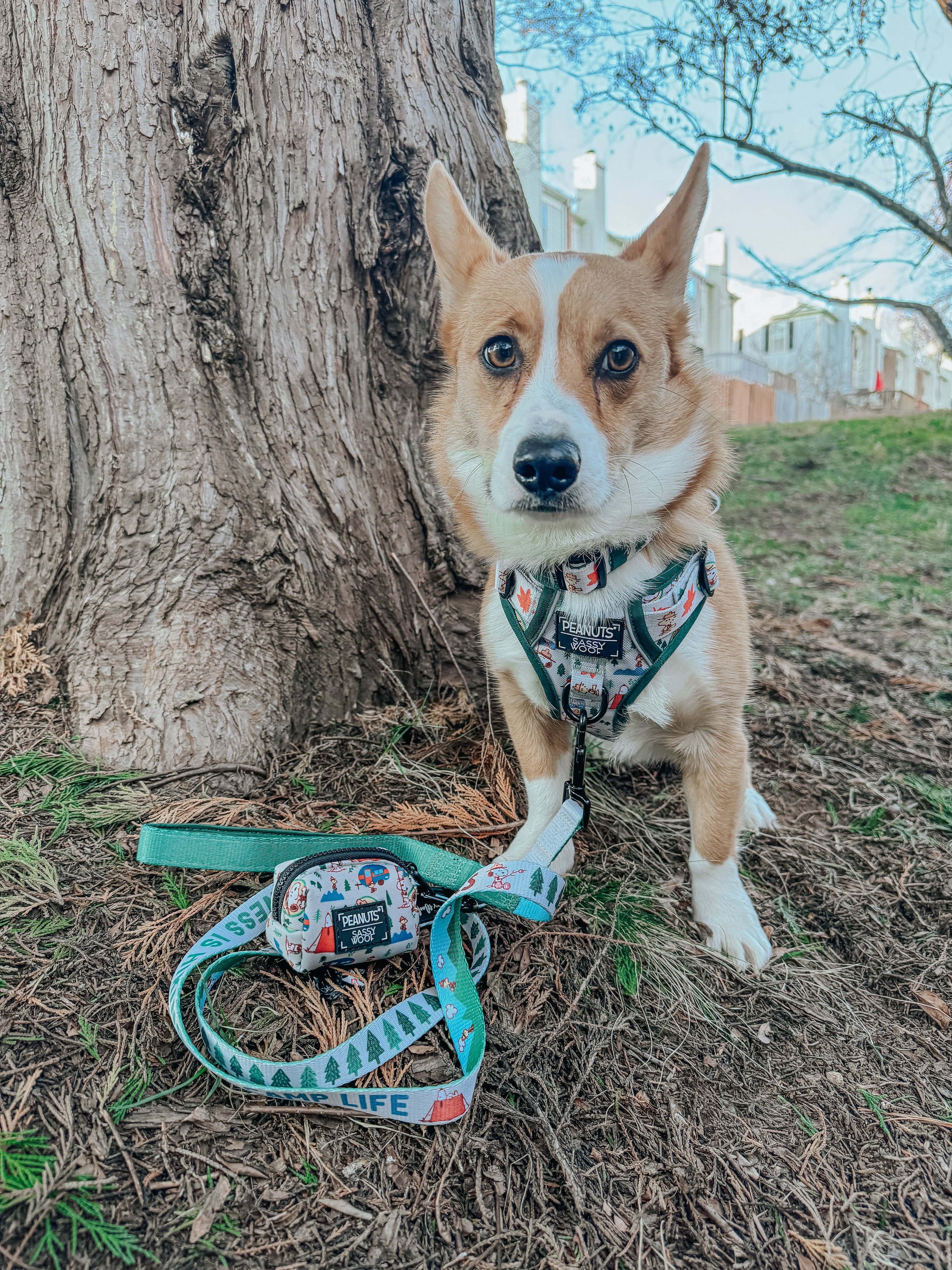 Dog Leash - Peanuts™ Beagle Scouts
