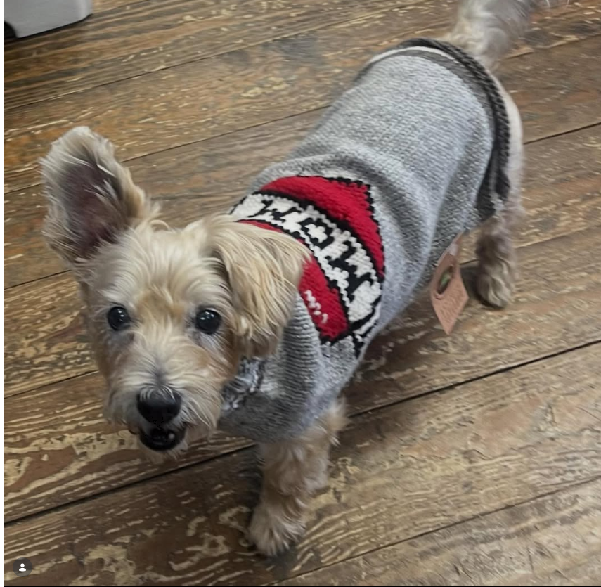 Chilly Dog Tattooed Mom Knit Wool Dog Sweater