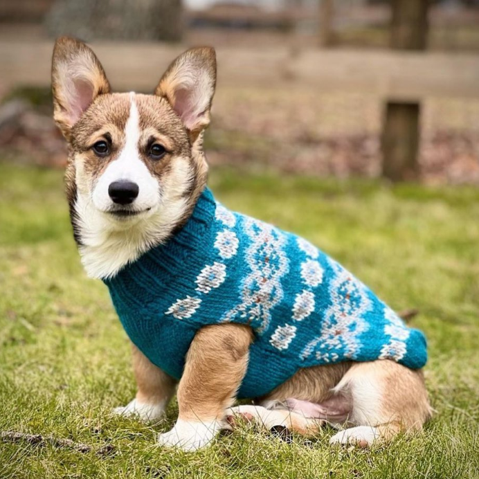 Chilly Dog Alpaca Teal Fair Isle Dog Sweater