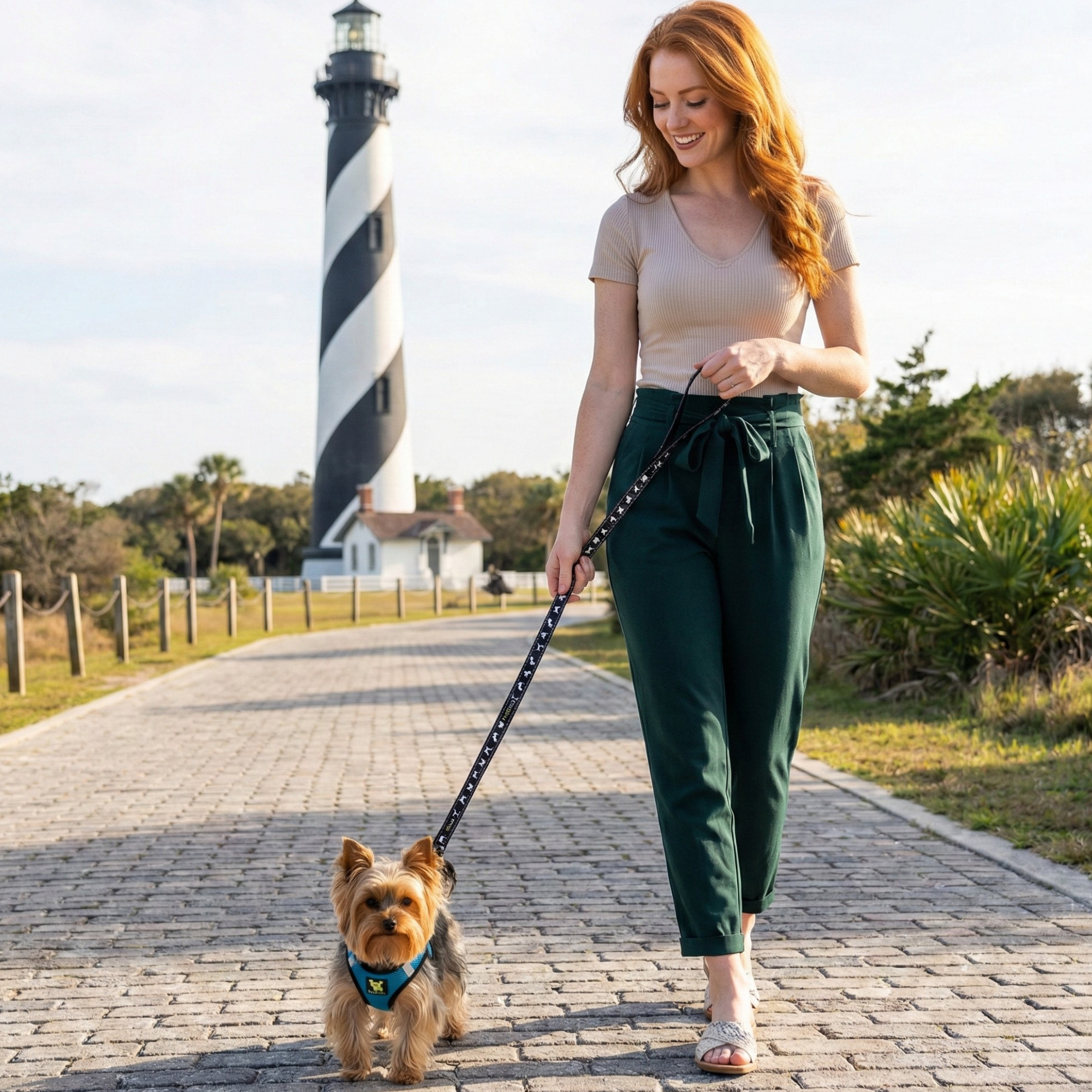 EcoBark Step In Dog Harness - Teacup & Small Breeds- Reflective Soft Mesh Harness for Teacup, Small Dogs and Puppies / Teal
