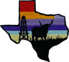 Texas - Patch