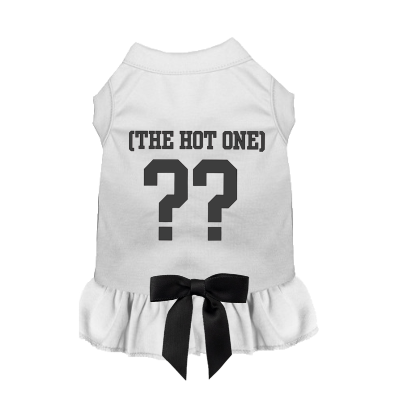 The Hot One Game-Day Dog Dress