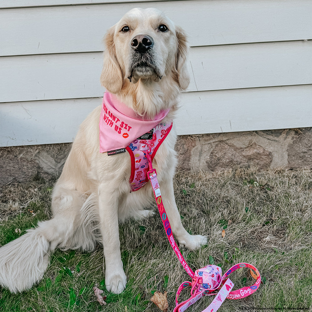 Dog Adjustable Harness - Mean Girls™