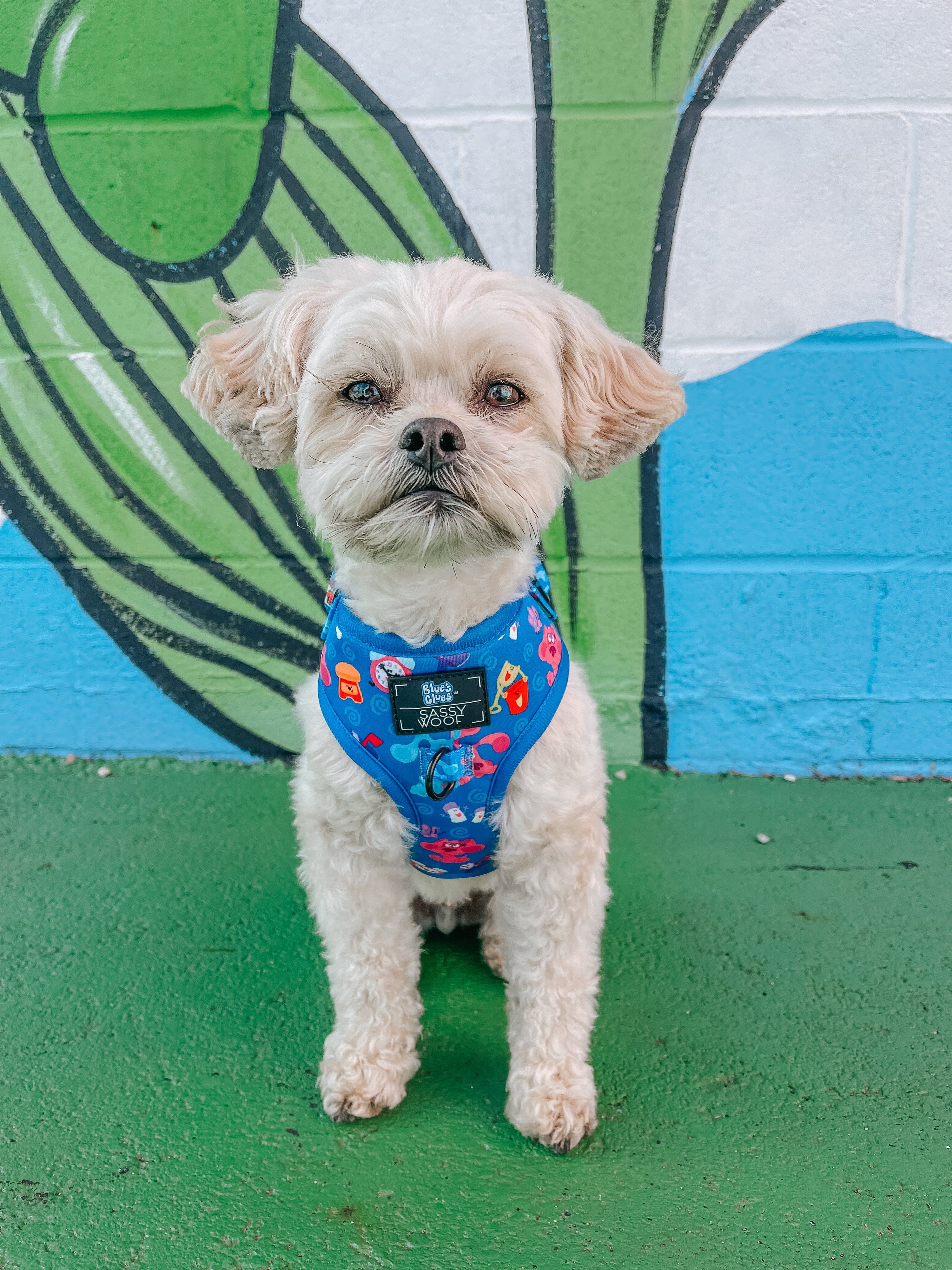 Dog Adjustable Harness - Blues Clues™