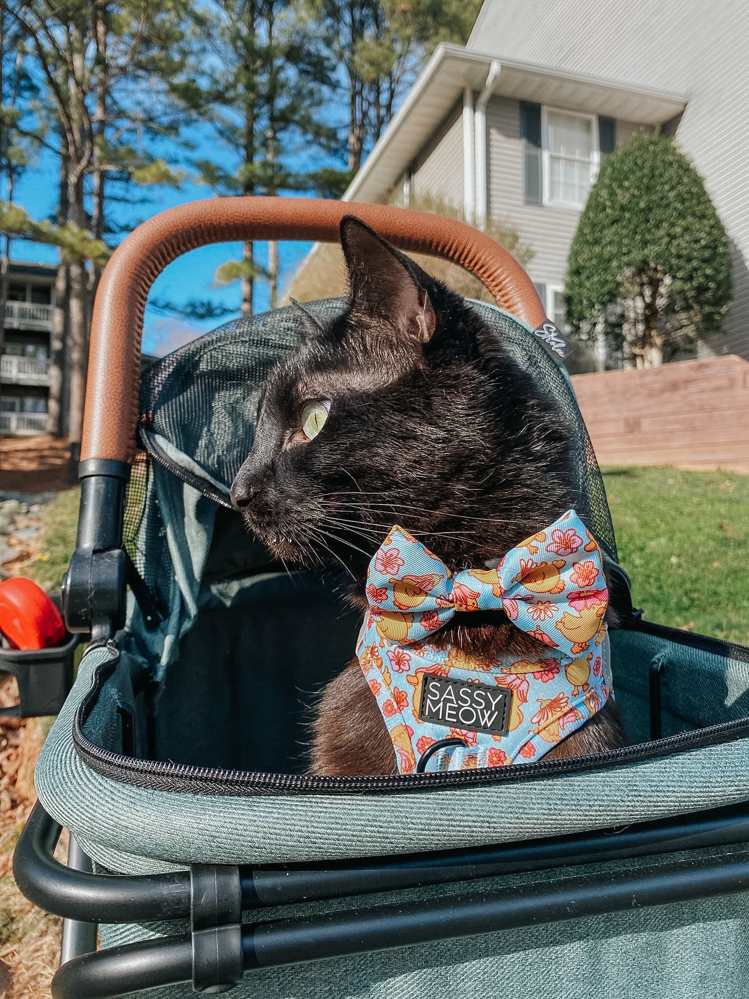 Cat Step-In Harness - Good Duck, Babe!