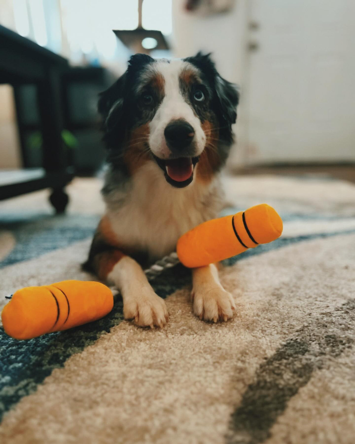 Pawty Nunchucks Plush Tug Dog Toy