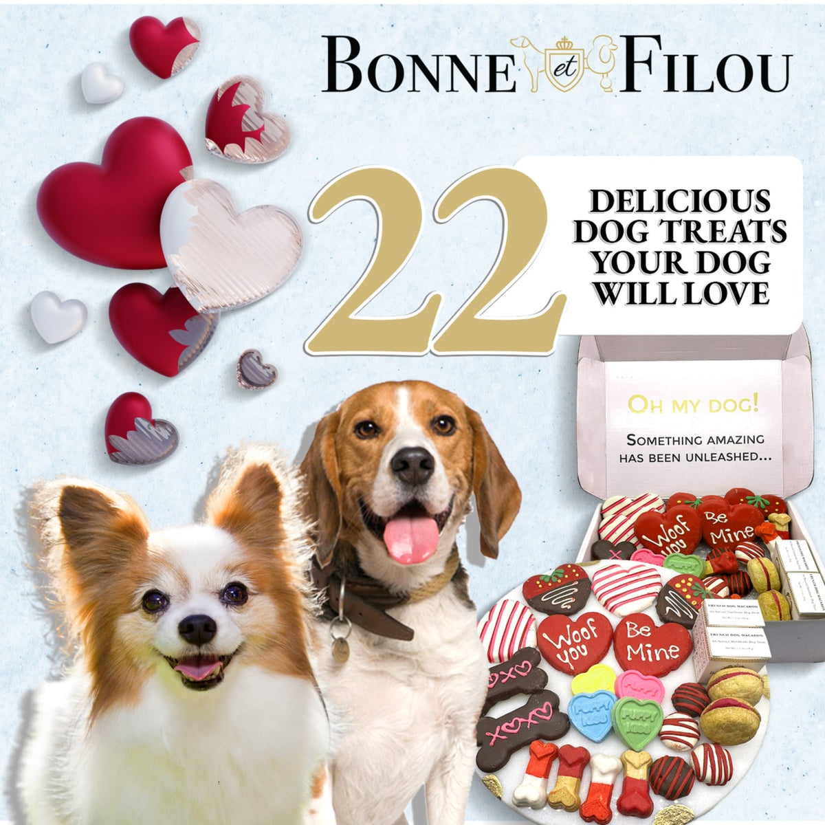 Bonne et Filou – Love My Dog Treat Gift Box