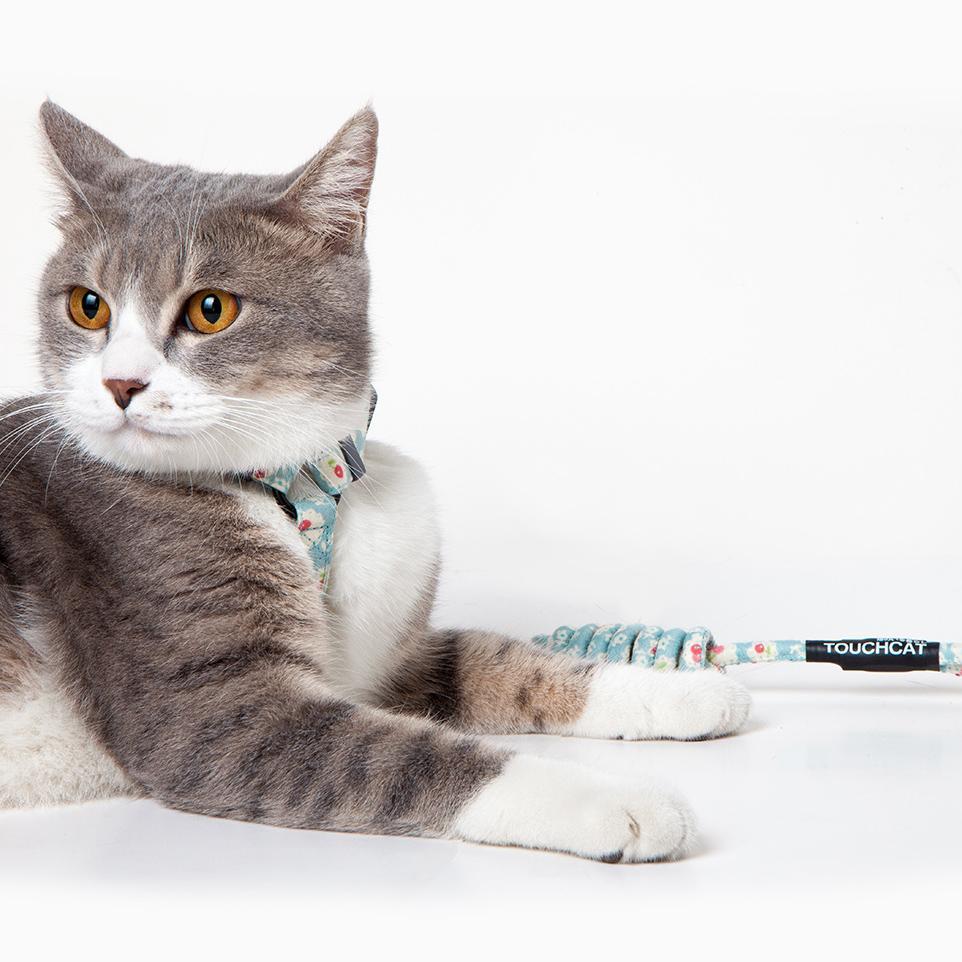 Touchcat Radi-Claw Durable Cable Cat Harness and Leash Combo