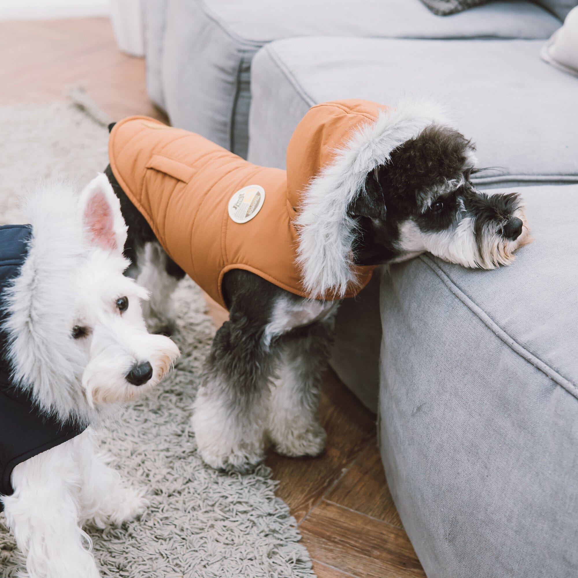 Touchdog Eskimo-Swag Duck-Down Insulated Winter Dog Coat Parka | HT Animal Supply