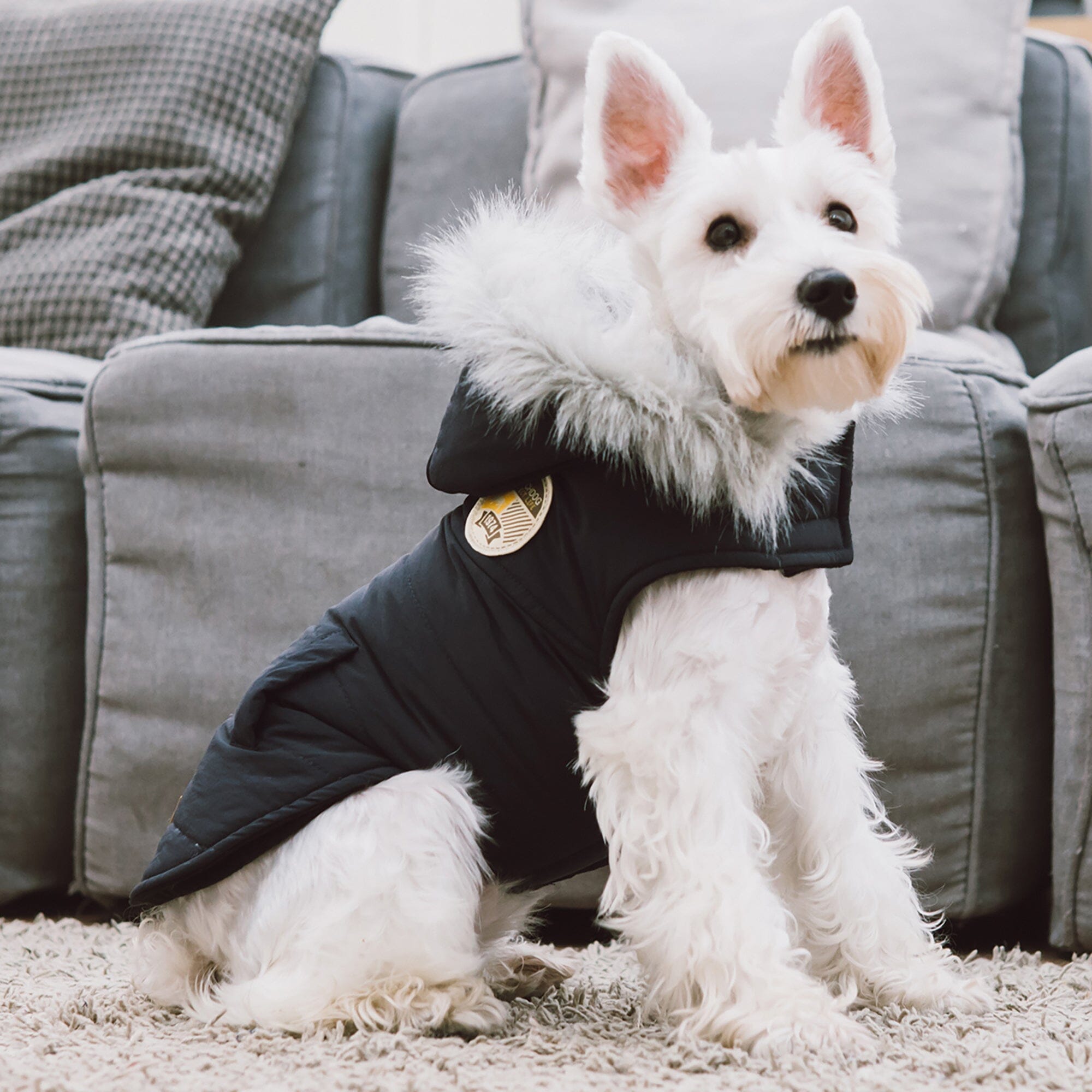 Touchdog Eskimo-Swag Duck-Down Insulated Winter Dog Coat Parka | HT Animal Supply
