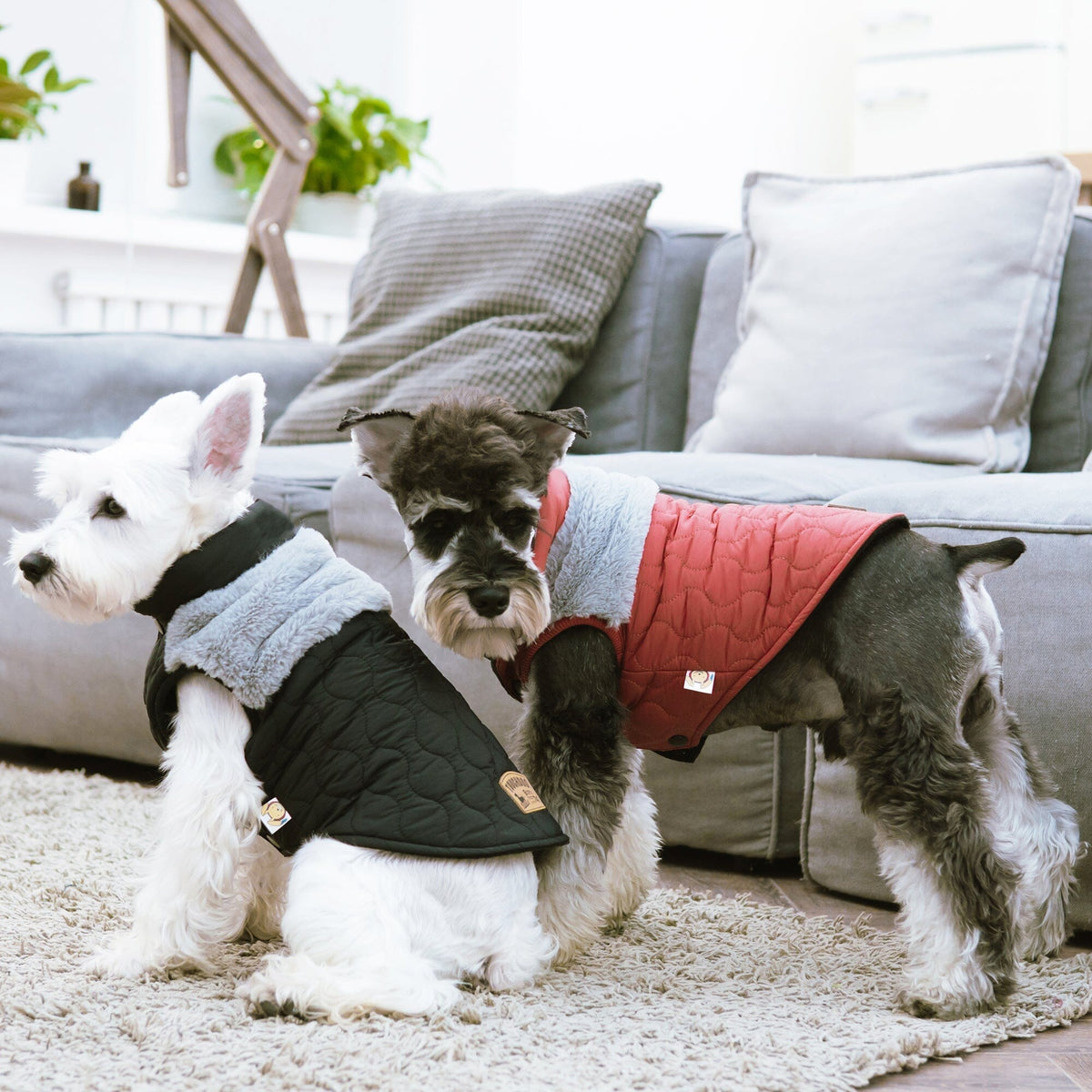 Touchdog Furrost-Bite Fur and Fleece Designer Fashion Dog Jacket | HT Animal Supply