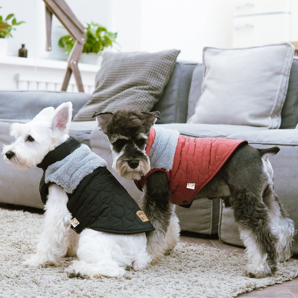 Touchdog Furrost-Bite Fur and Fleece Designer Fashion Dog Jacket | HT Animal Supply
