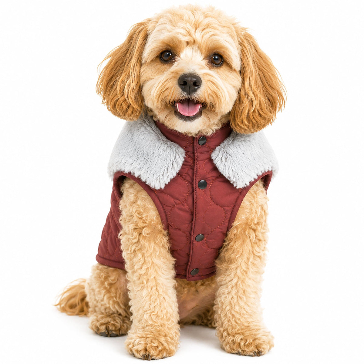 Touchdog Furrost-Bite Fur and Fleece Designer Fashion Dog Jacket | HT Animal Supply