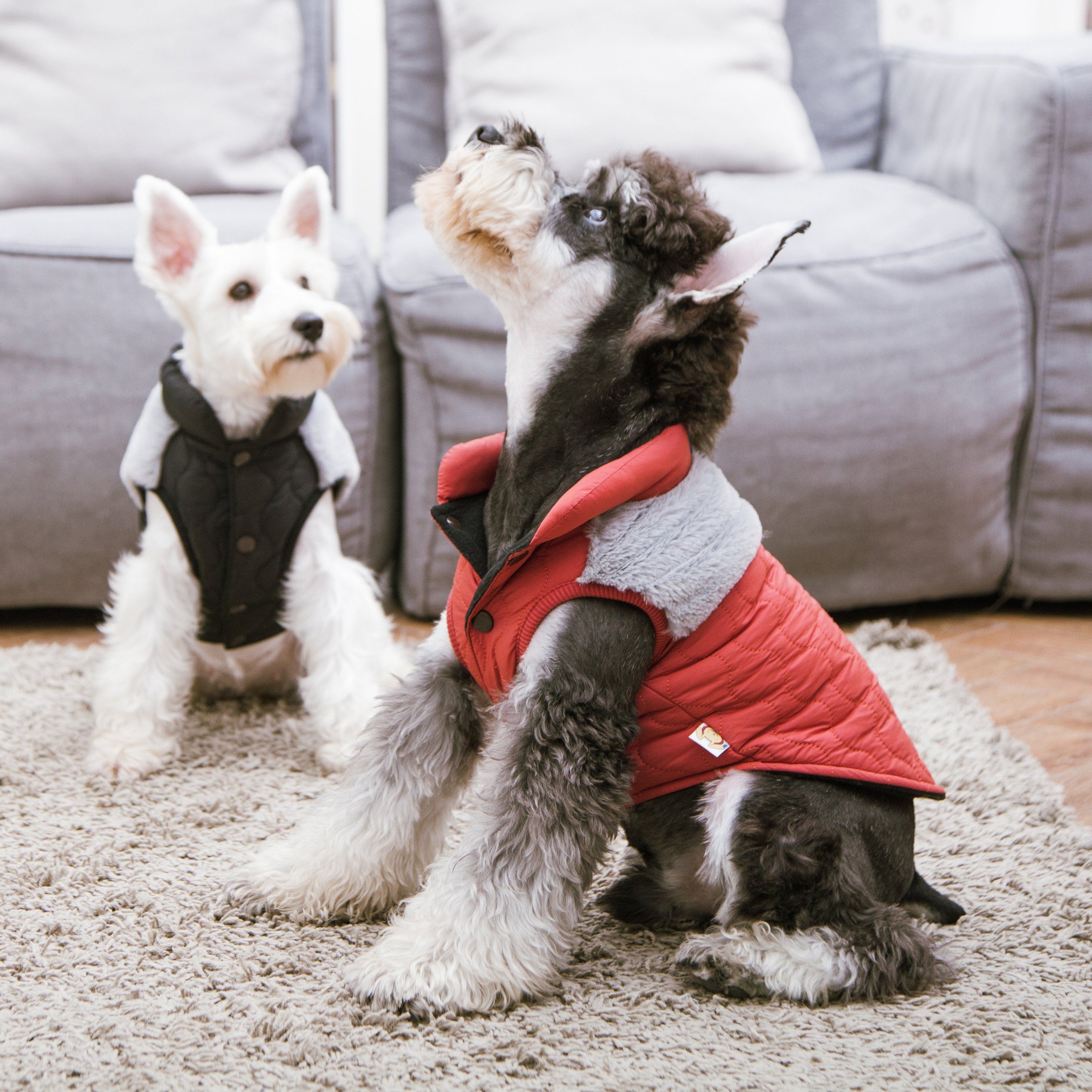 Touchdog Furrost-Bite Fur and Fleece Designer Fashion Dog Jacket