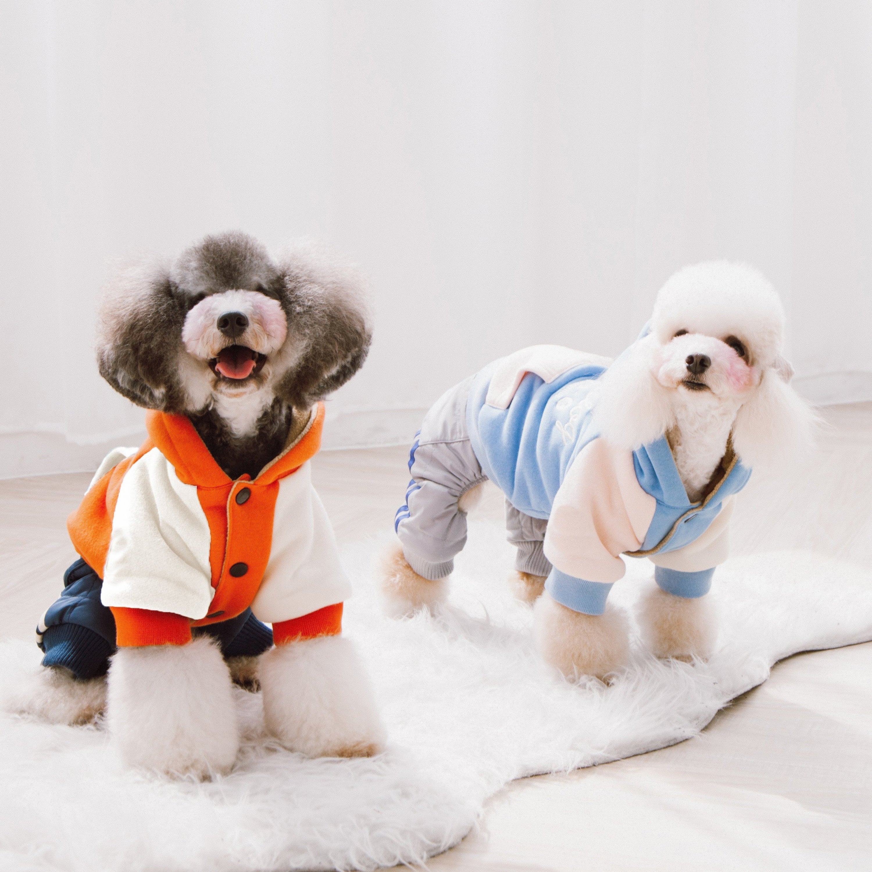 Touchdog Heritage Soft-Cotton Fashion Dog Hoodie Sweater