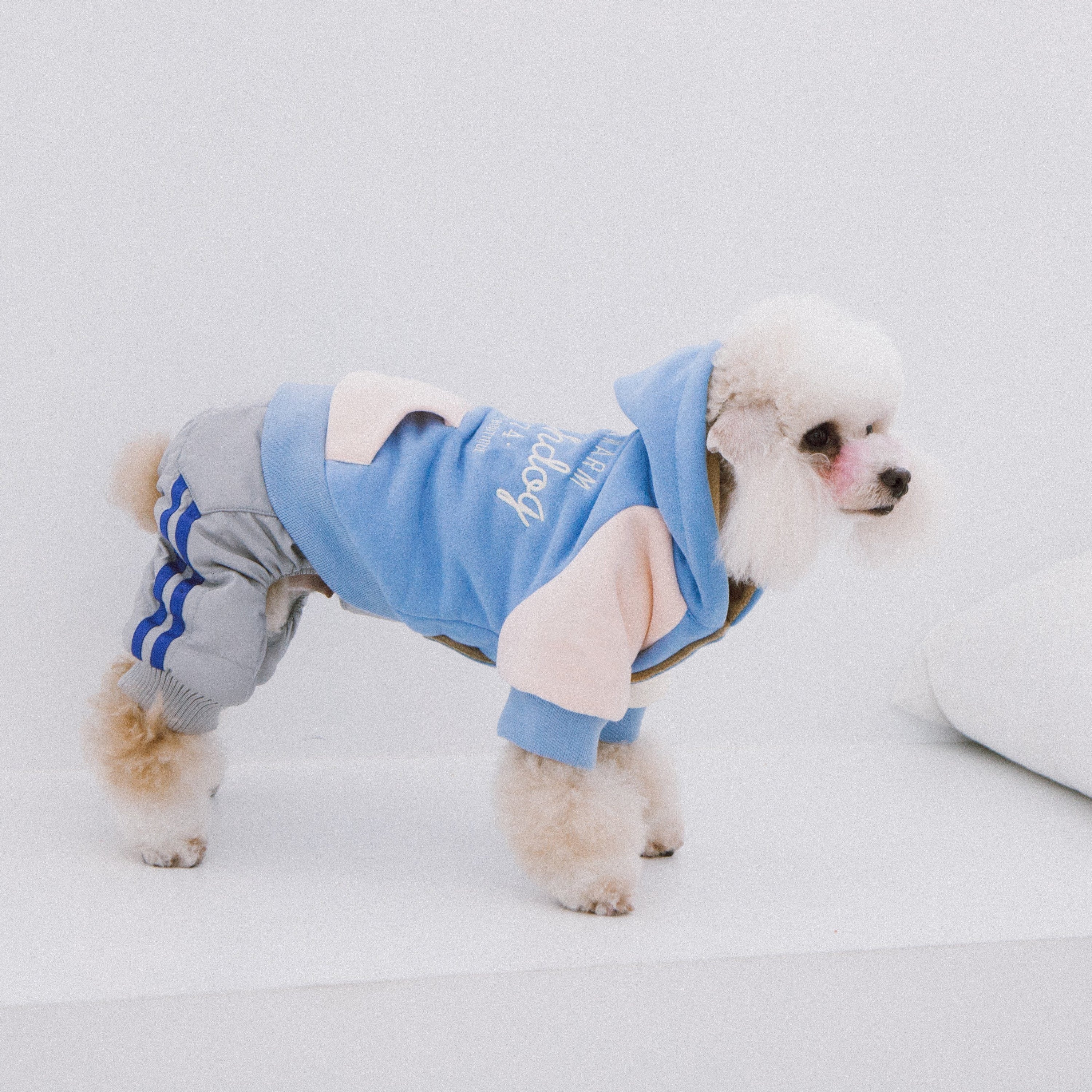 Touchdog Heritage Soft-Cotton Fashion Dog Hoodie Sweater