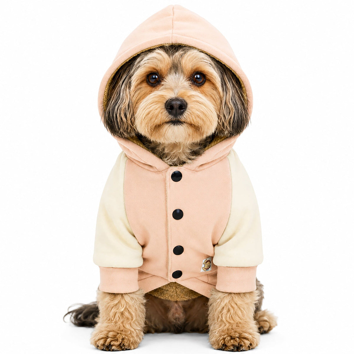 Touchdog Heritage Soft-Cotton Fashion Dog Hoodie Sweater | HT Animal Supply
