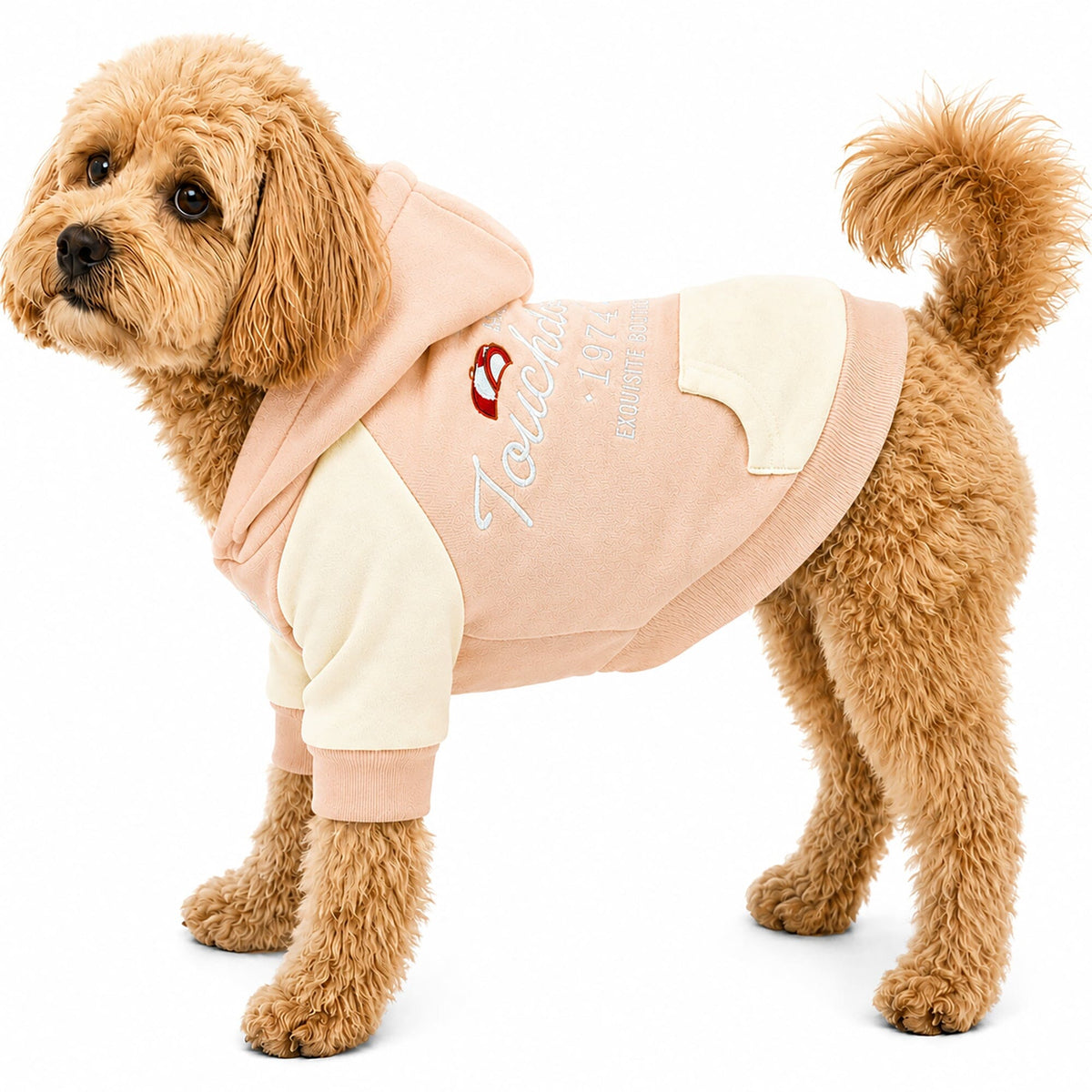 Touchdog Heritage Soft-Cotton Fashion Dog Hoodie Sweater | HT Animal Supply