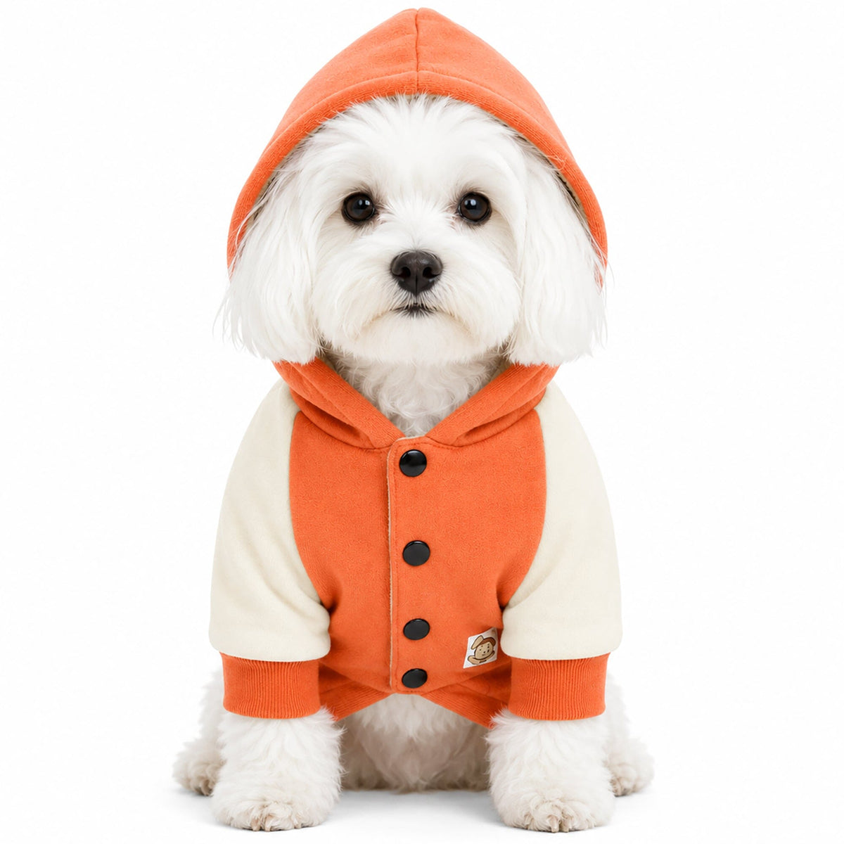 Touchdog Heritage Soft-Cotton Fashion Dog Hoodie Sweater | HT Animal Supply