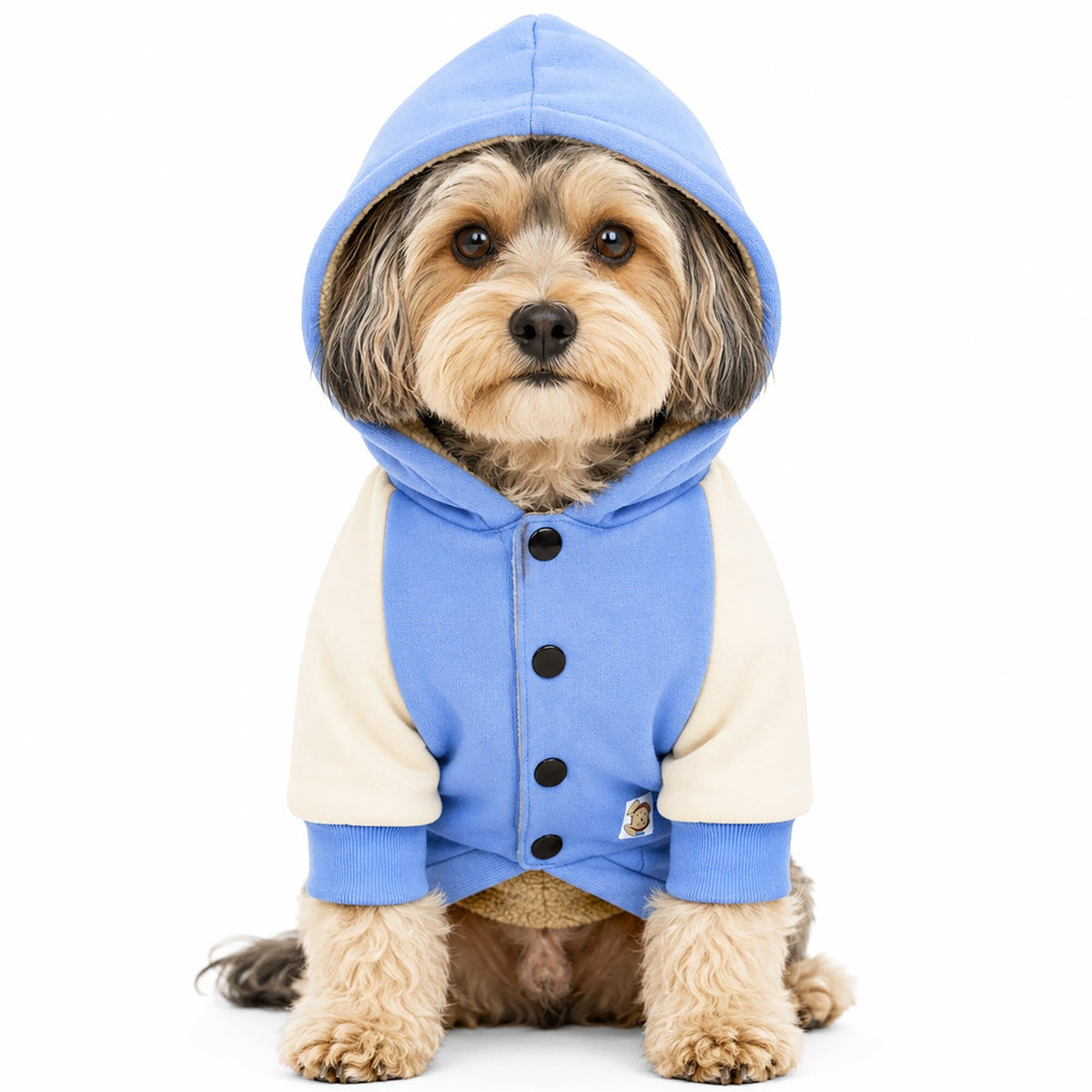 Touchdog Heritage Soft-Cotton Fashion Dog Hoodie Sweater | HT Animal Supply