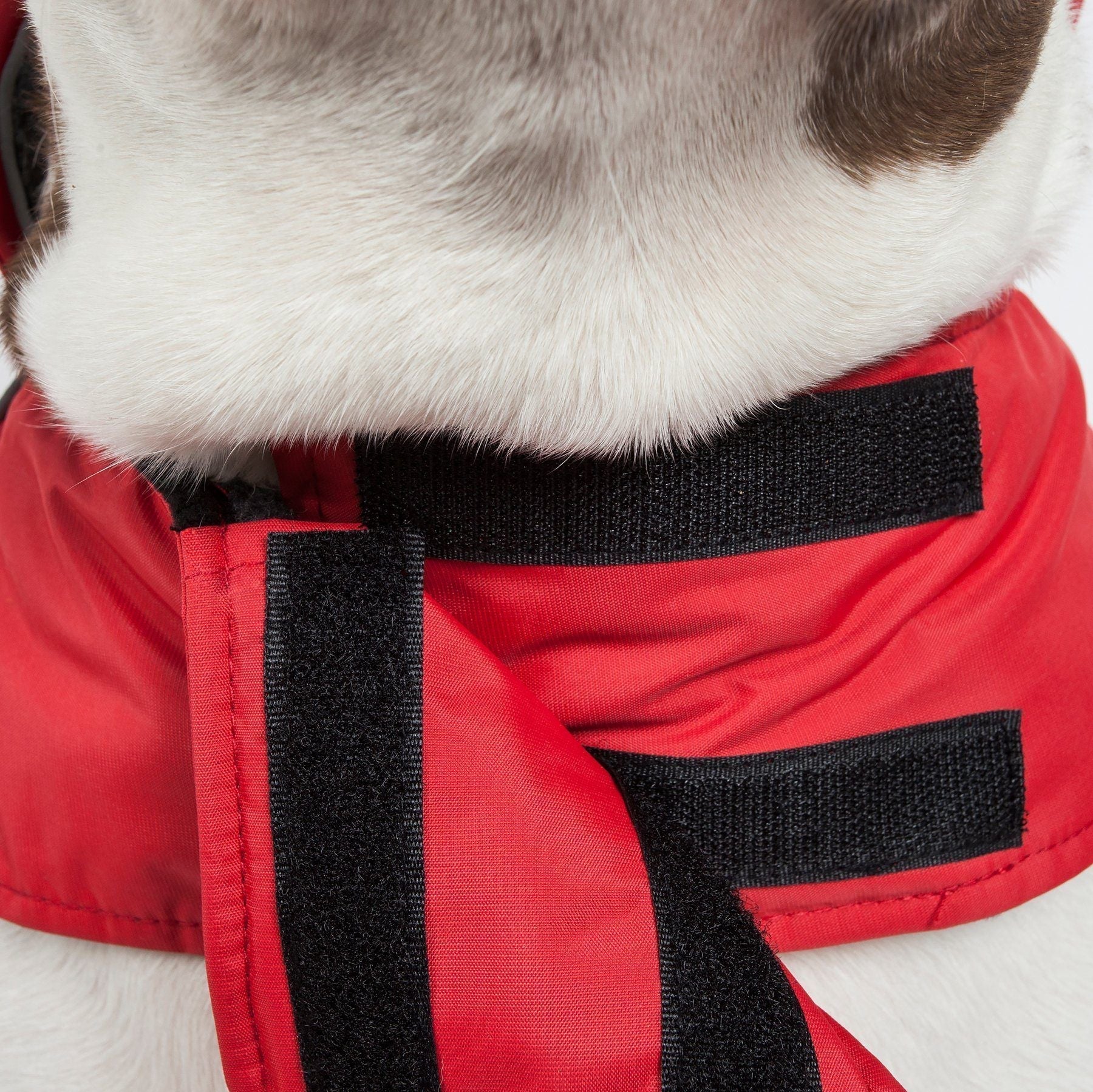 Touchdog Lightening-Shield 2-in-1 Dual-Removable-Layered Waterproof Dog Jacket