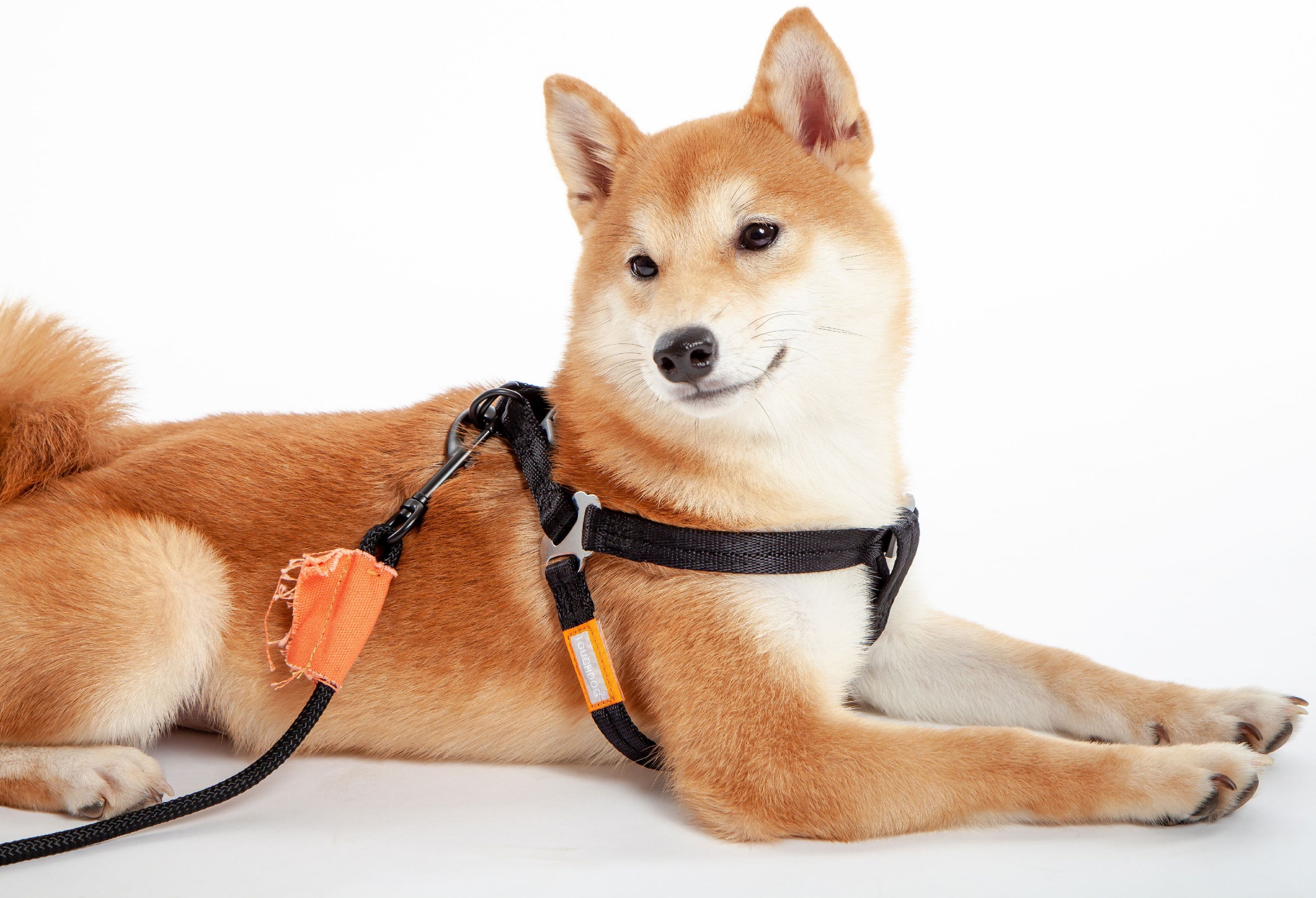 Touchdog Macaron 2-in-1 Durable Nylon Dog Harness and Leash