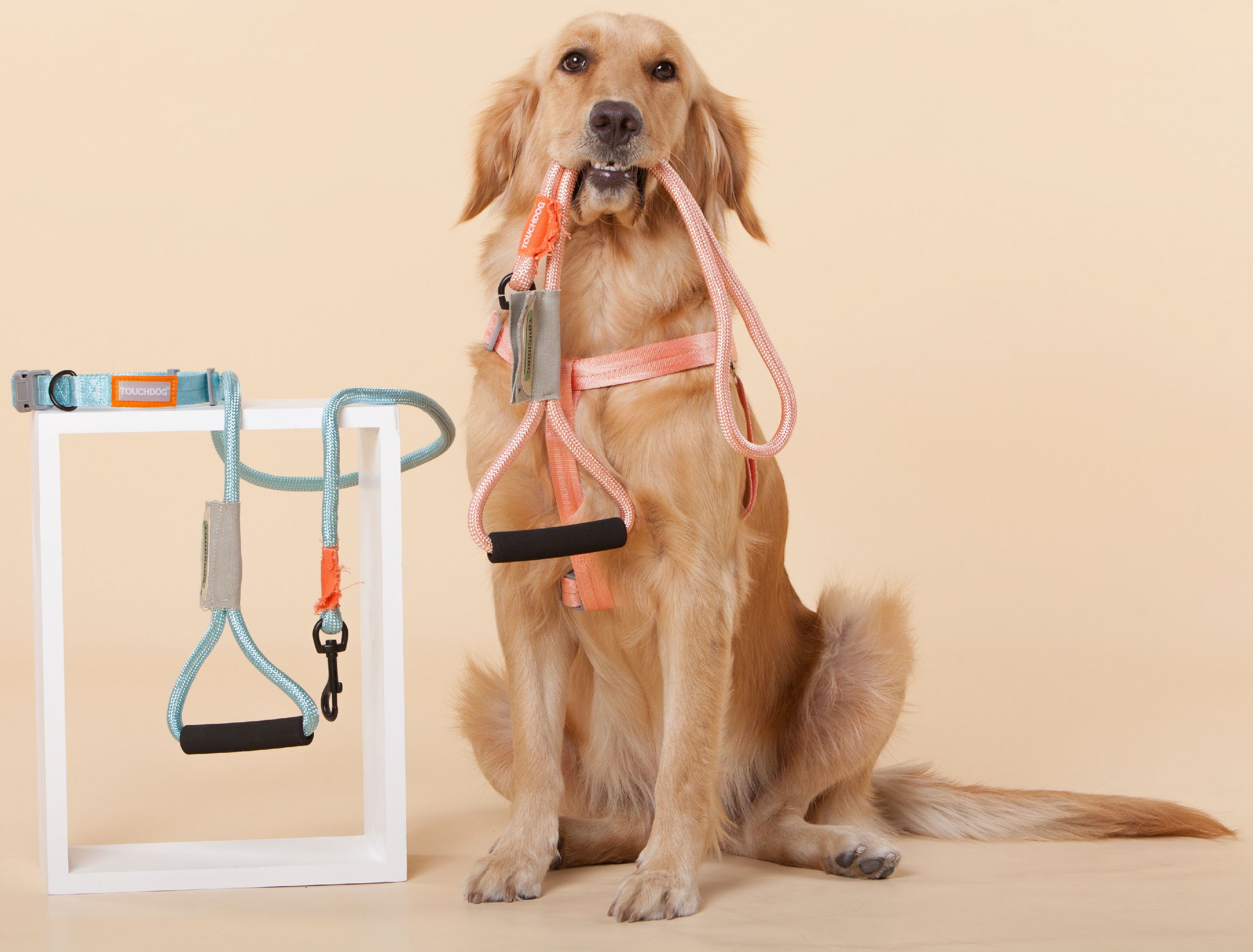 Touchdog Macaron 2-in-1 Durable Nylon Dog Harness and Leash