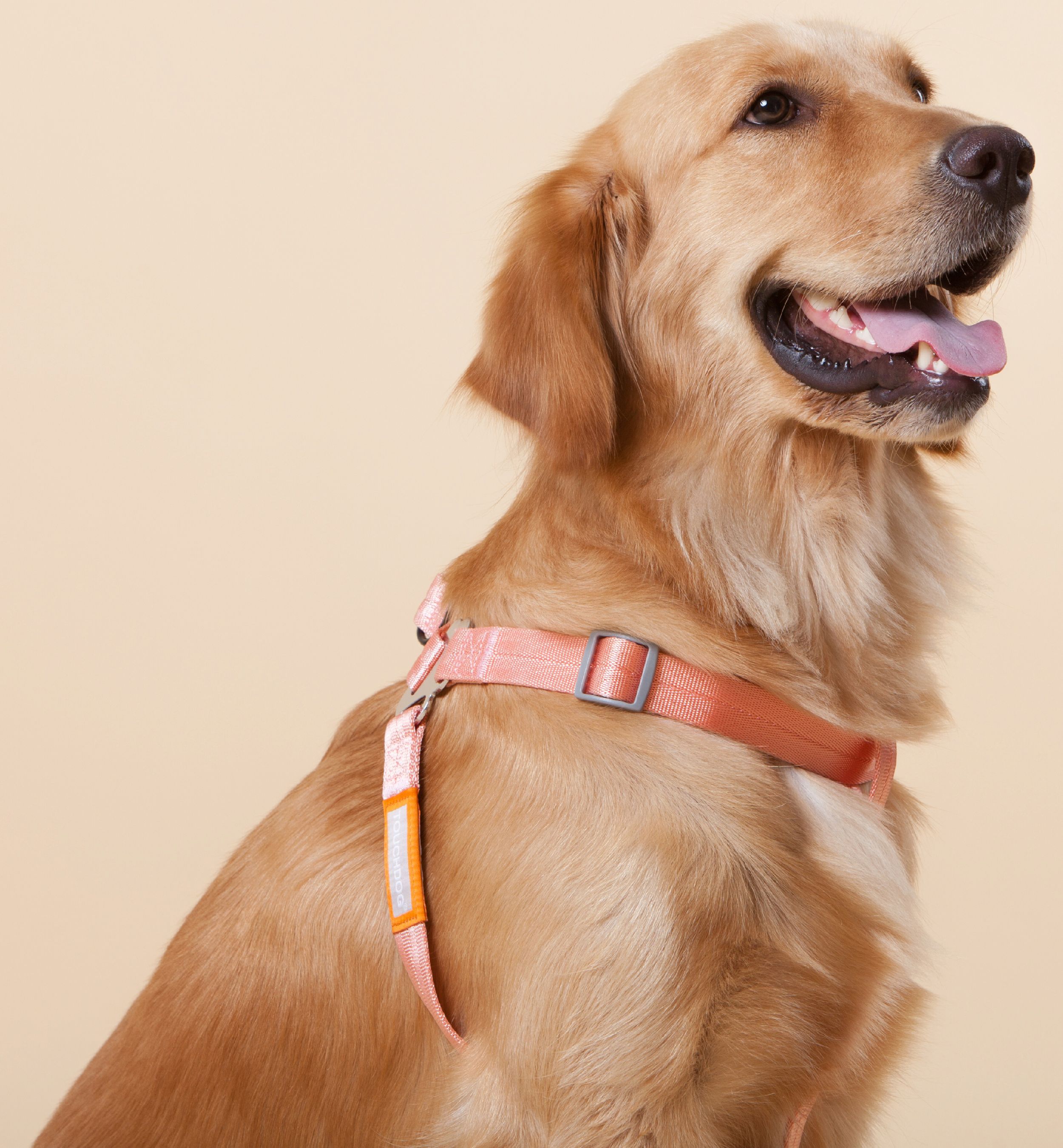 Touchdog Macaron 2-in-1 Durable Nylon Dog Harness and Leash