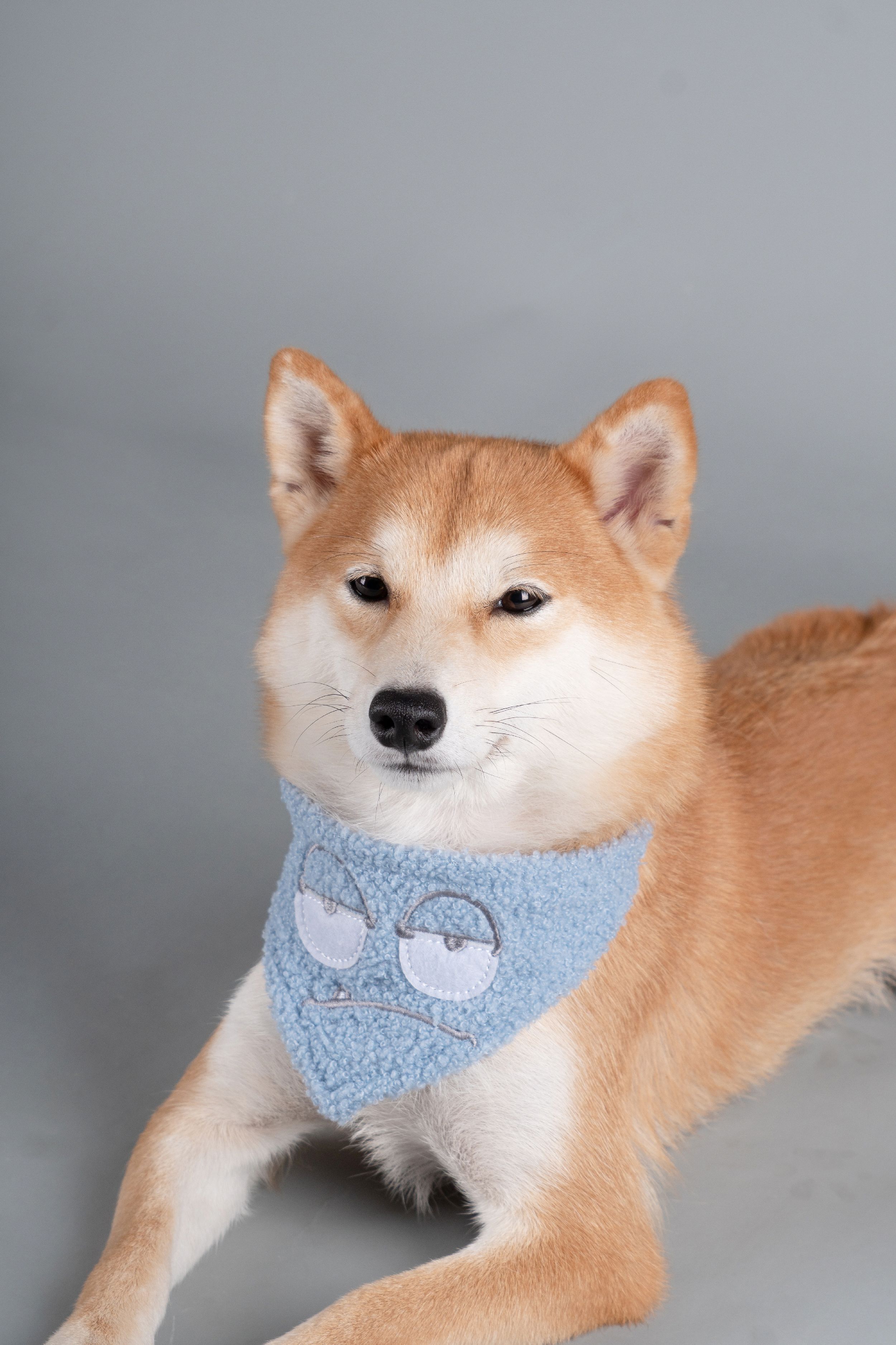 Touchdog Macaron 2-in-1 Durable Nylon Dog Harness and Leash