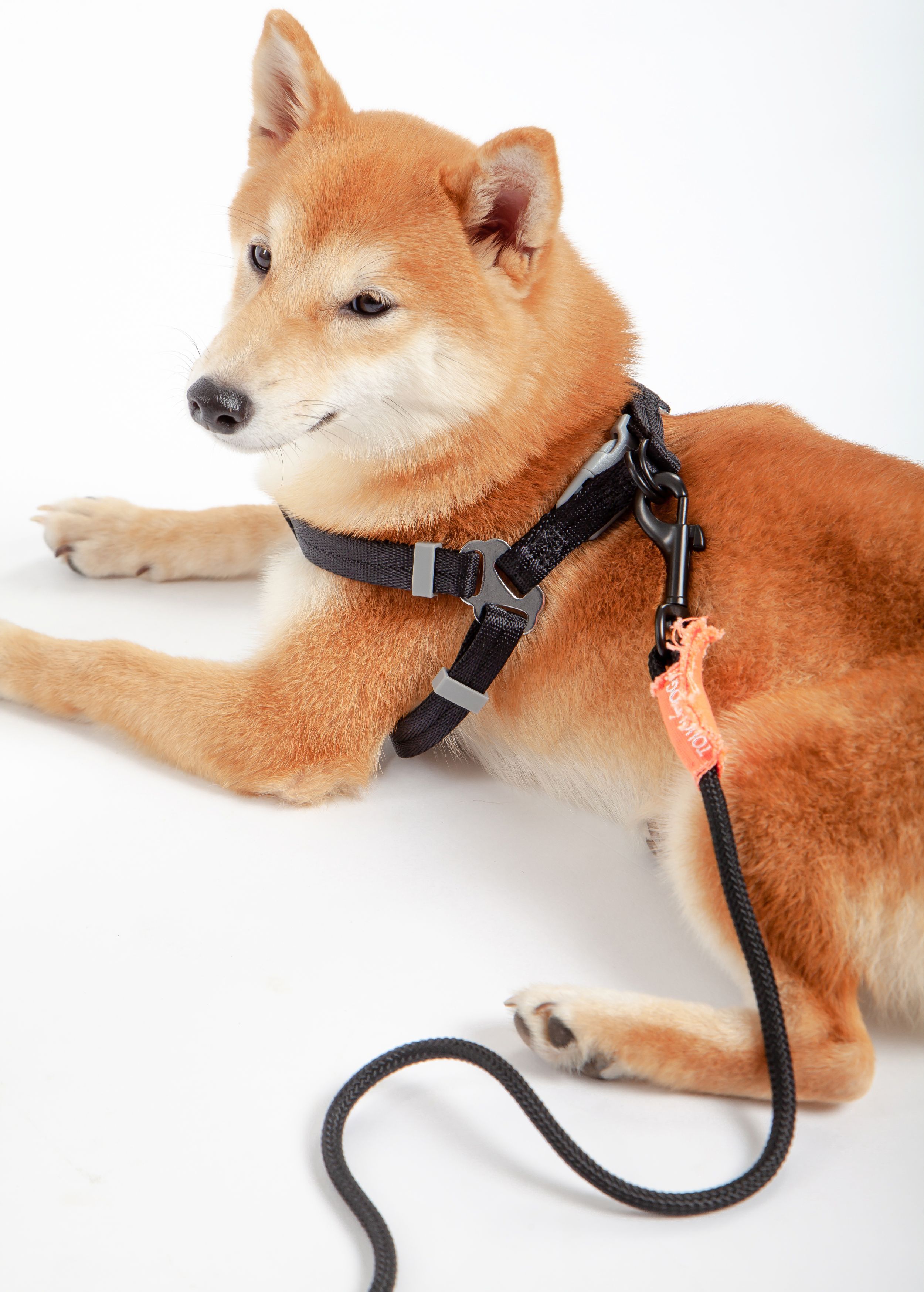 Touchdog ® Macaron 2-in-1 Durable Nylon Dog Harness and Leash