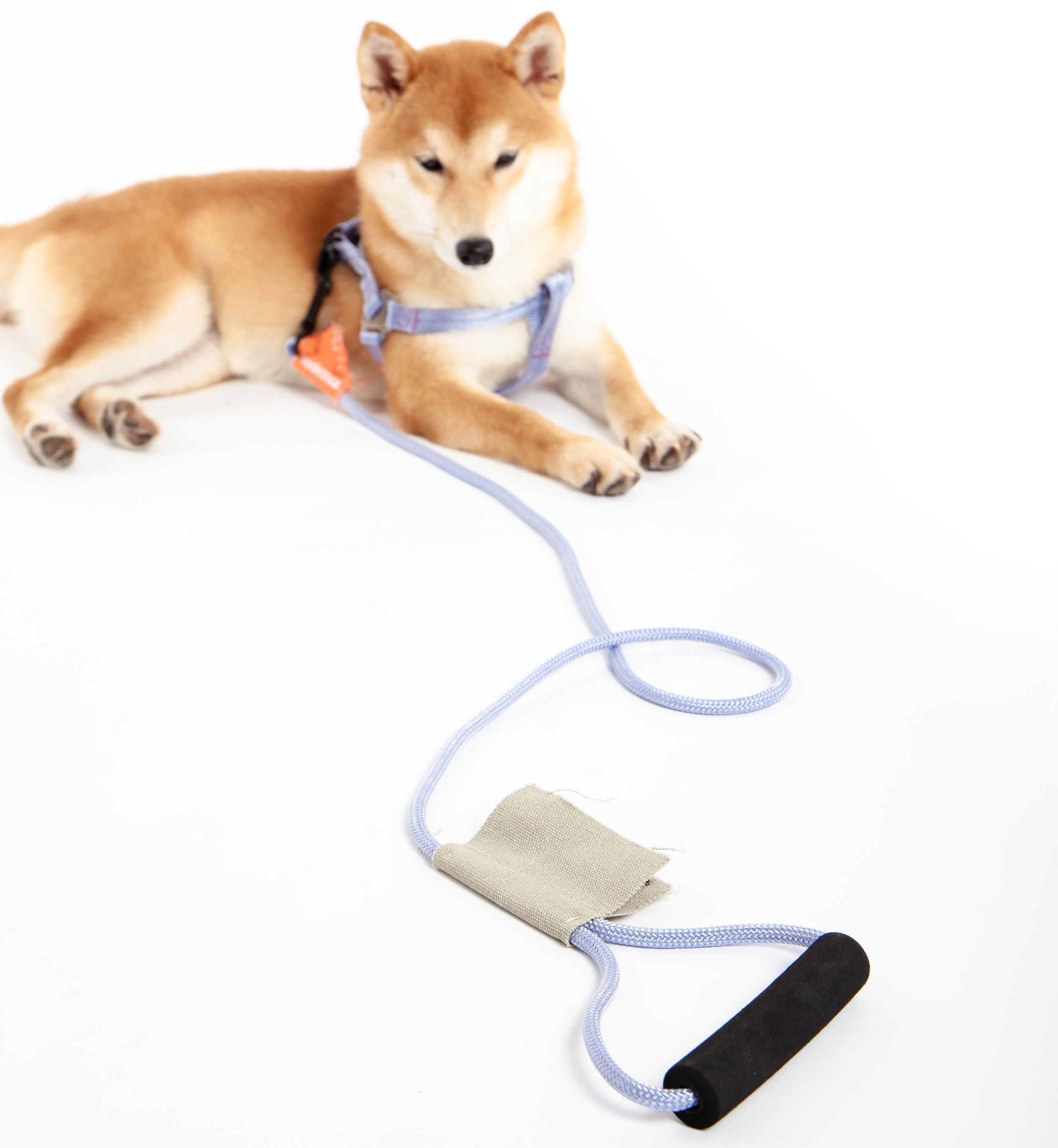 Touchdog Macaron 2-in-1 Durable Nylon Dog Harness and Leash