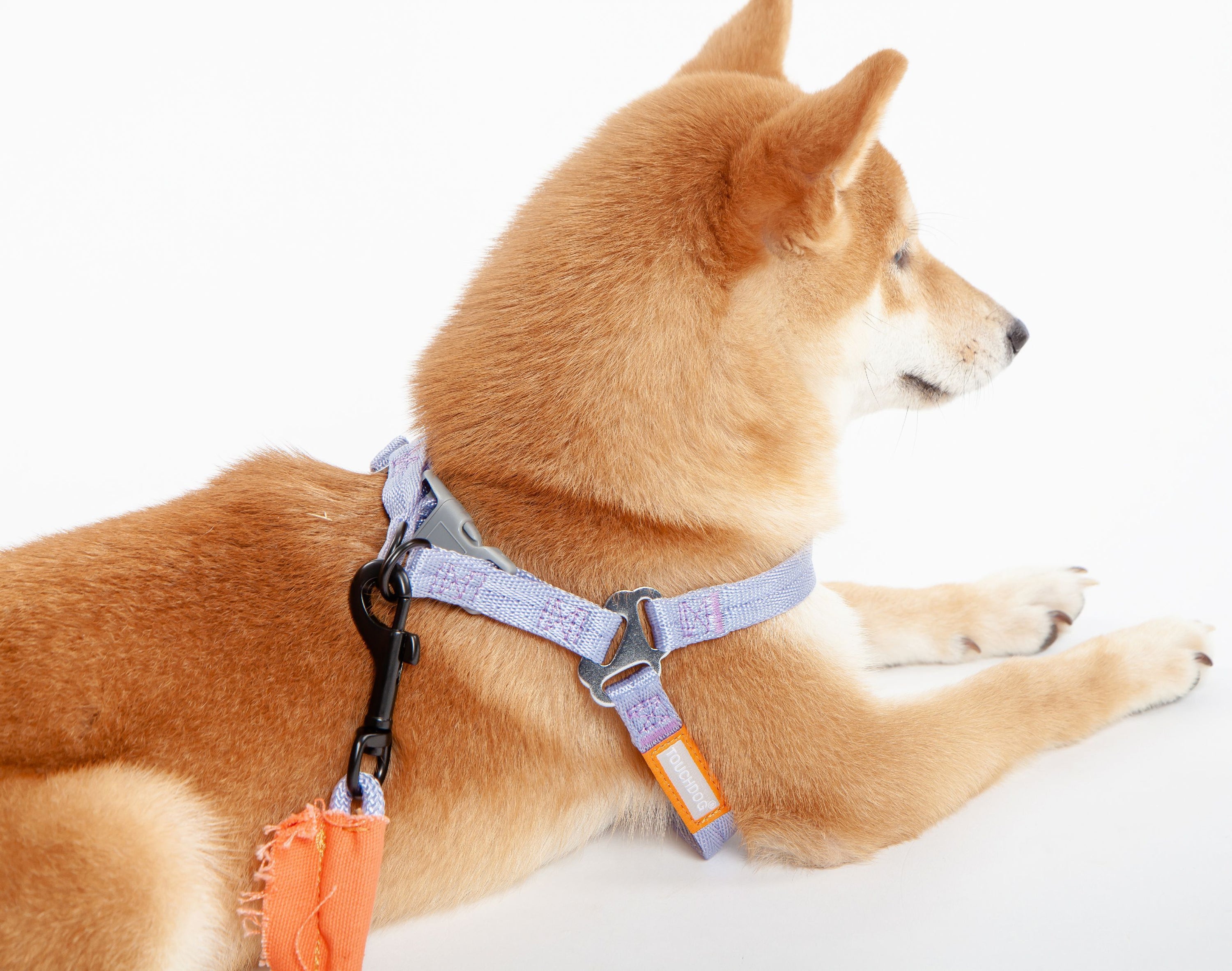Touchdog Macaron 2-in-1 Durable Nylon Dog Harness and Leash