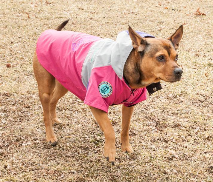 Touchdog Mount Pinnacle Insulated Performance Retro Ski Dog Jacket