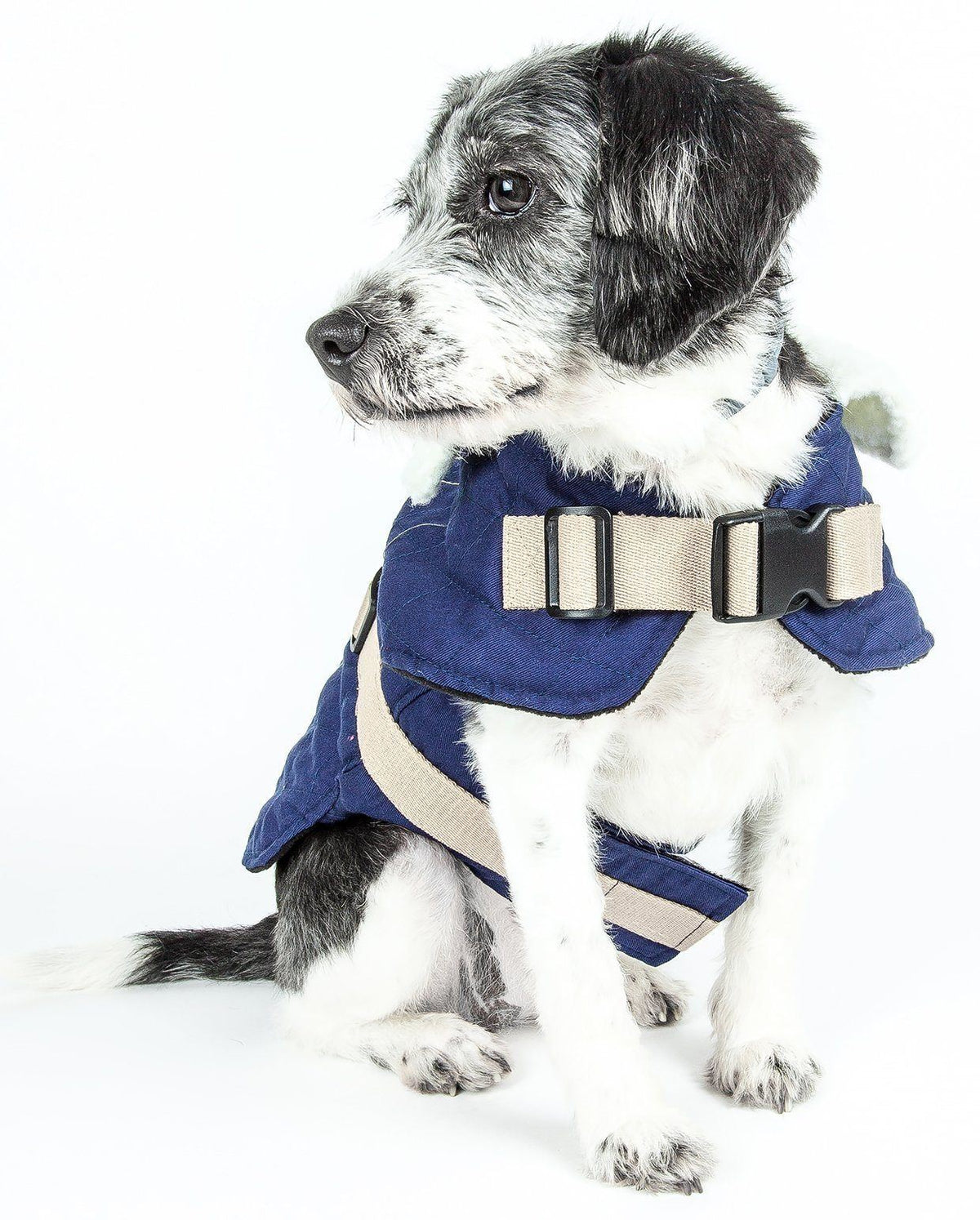 Touchdog Original Sherpa-Bark Designer Fashion Dog Coat